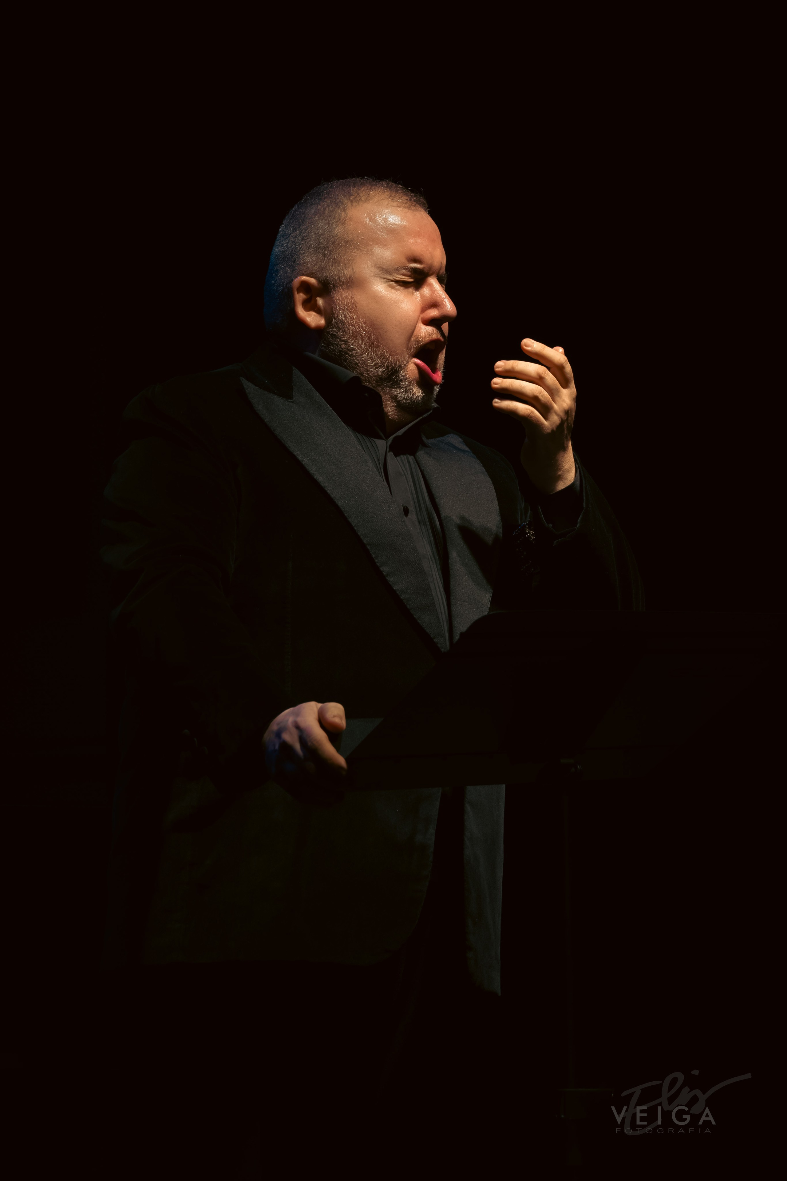 La música clásica como protagonista. Elisveiga