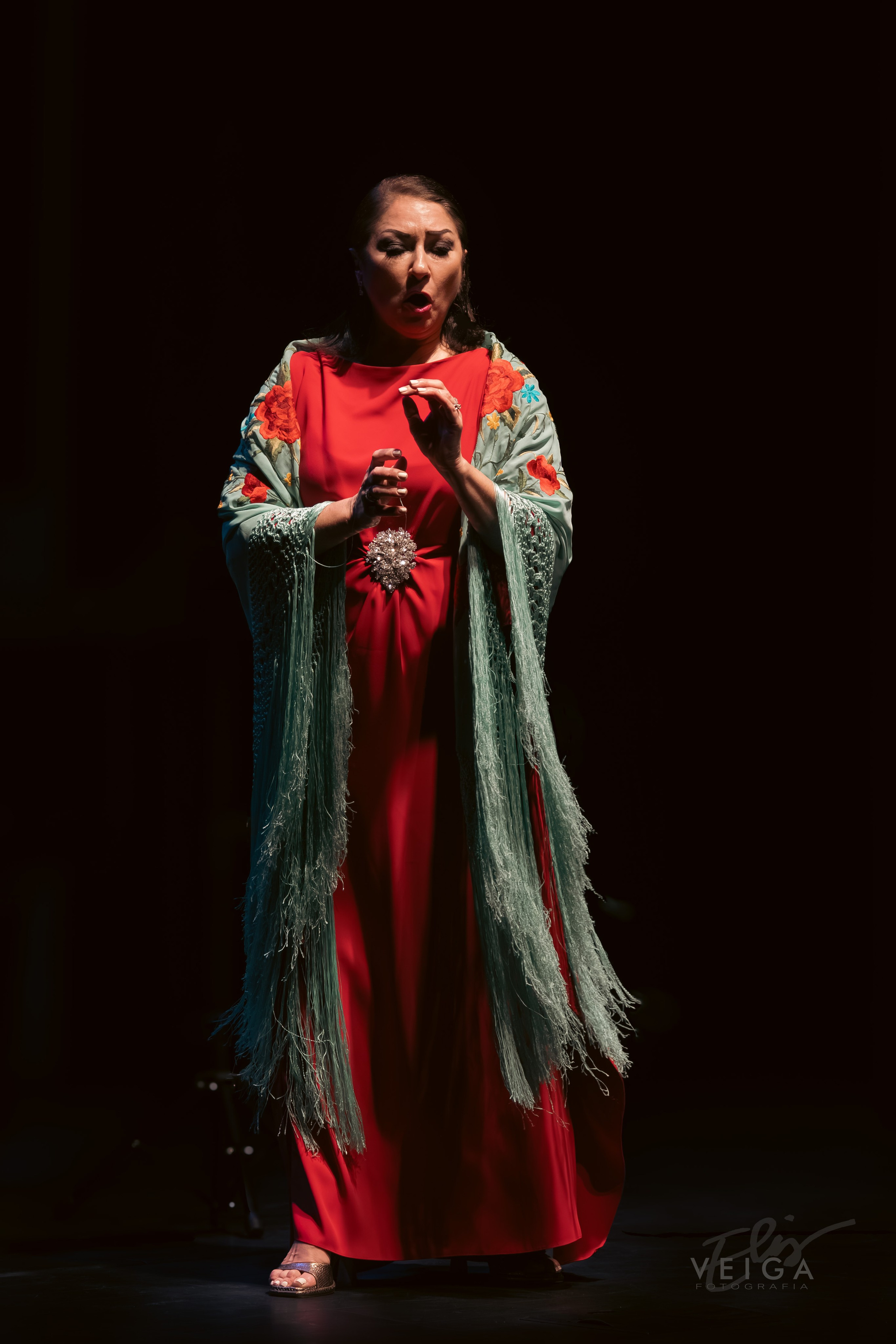 La música clásica como protagonista. Elisveiga