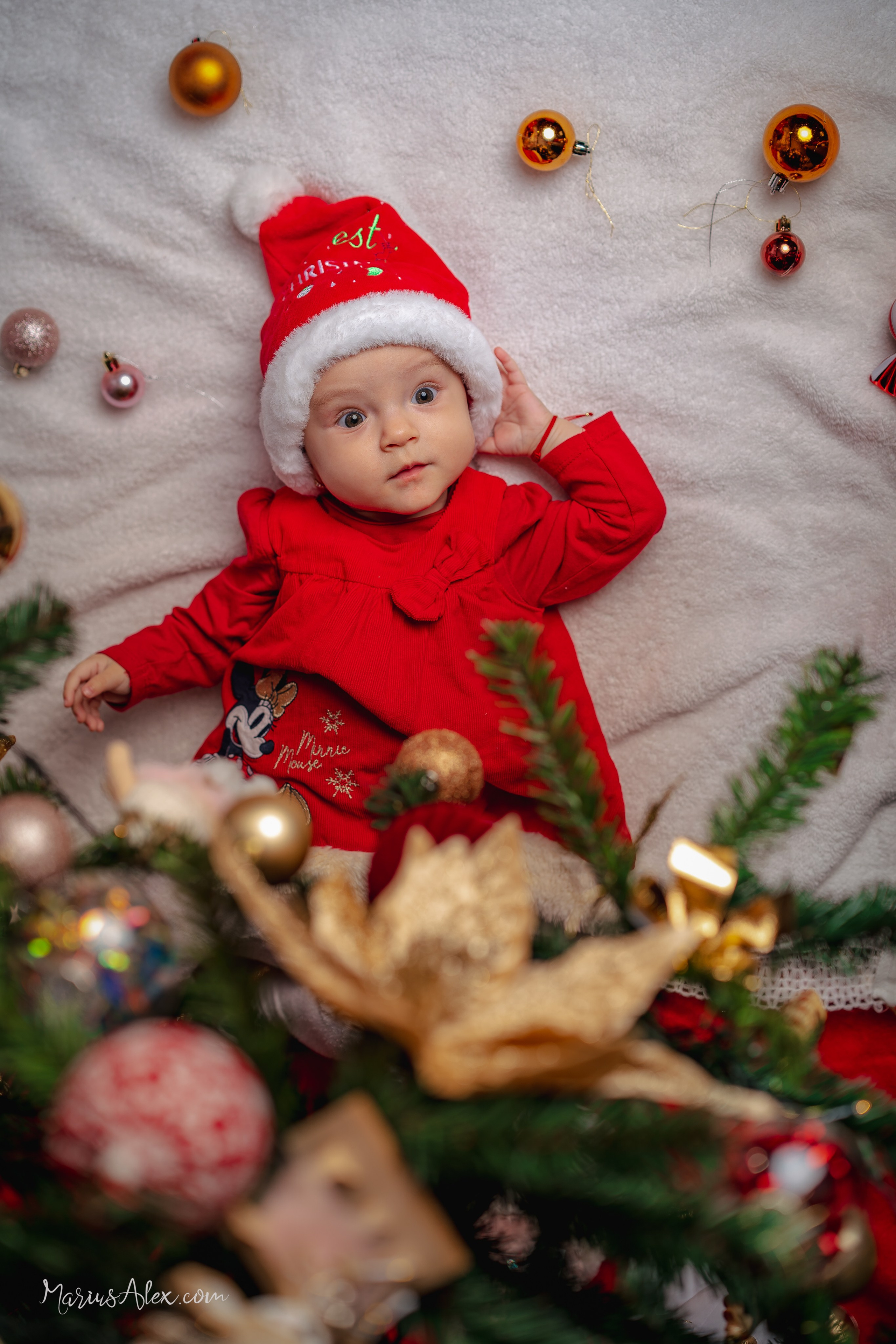 Studio SOFIART. Marius Alex fotograf de eveniment si portret din Suceava