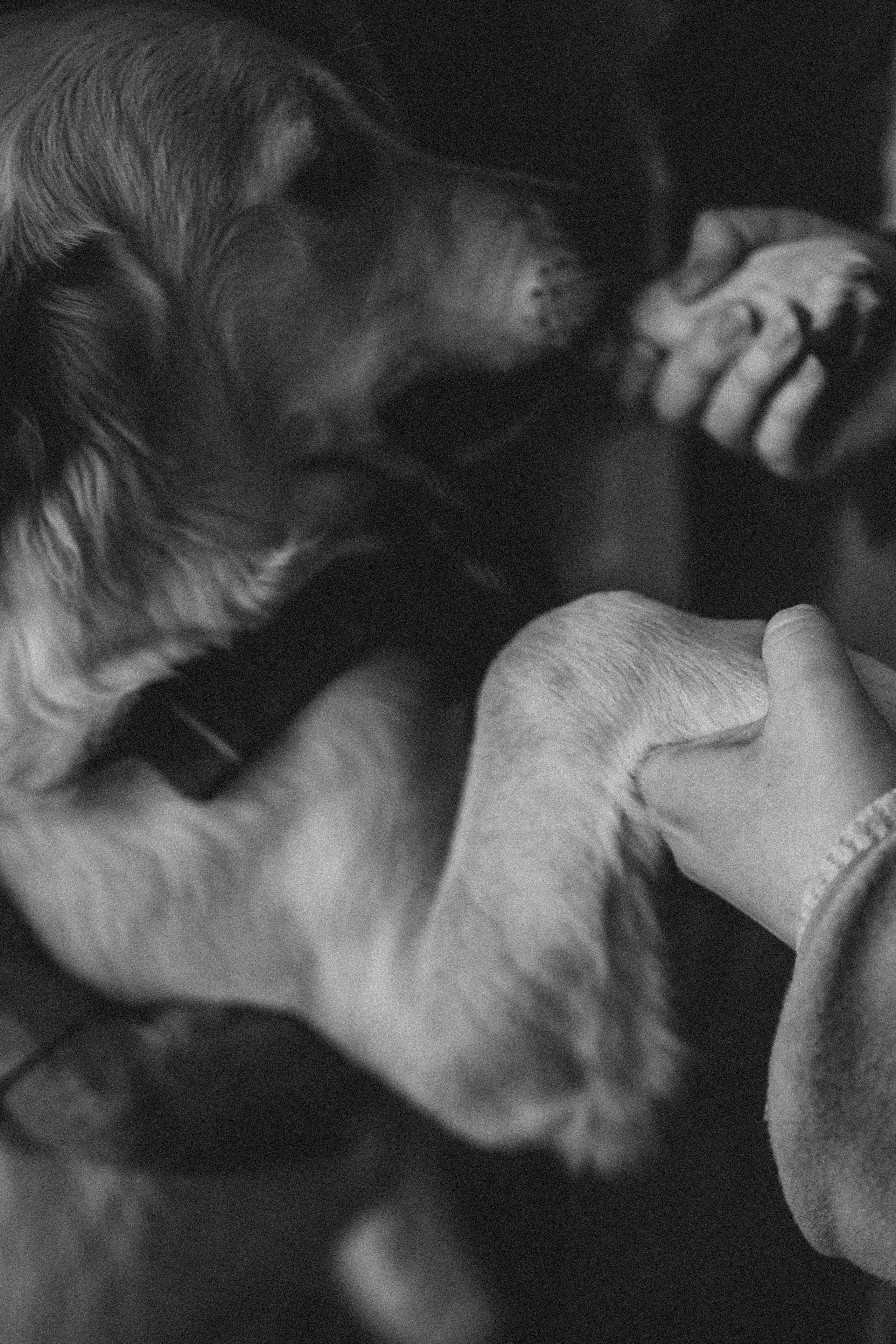 Услуги. Фотограф, Руан, Франция