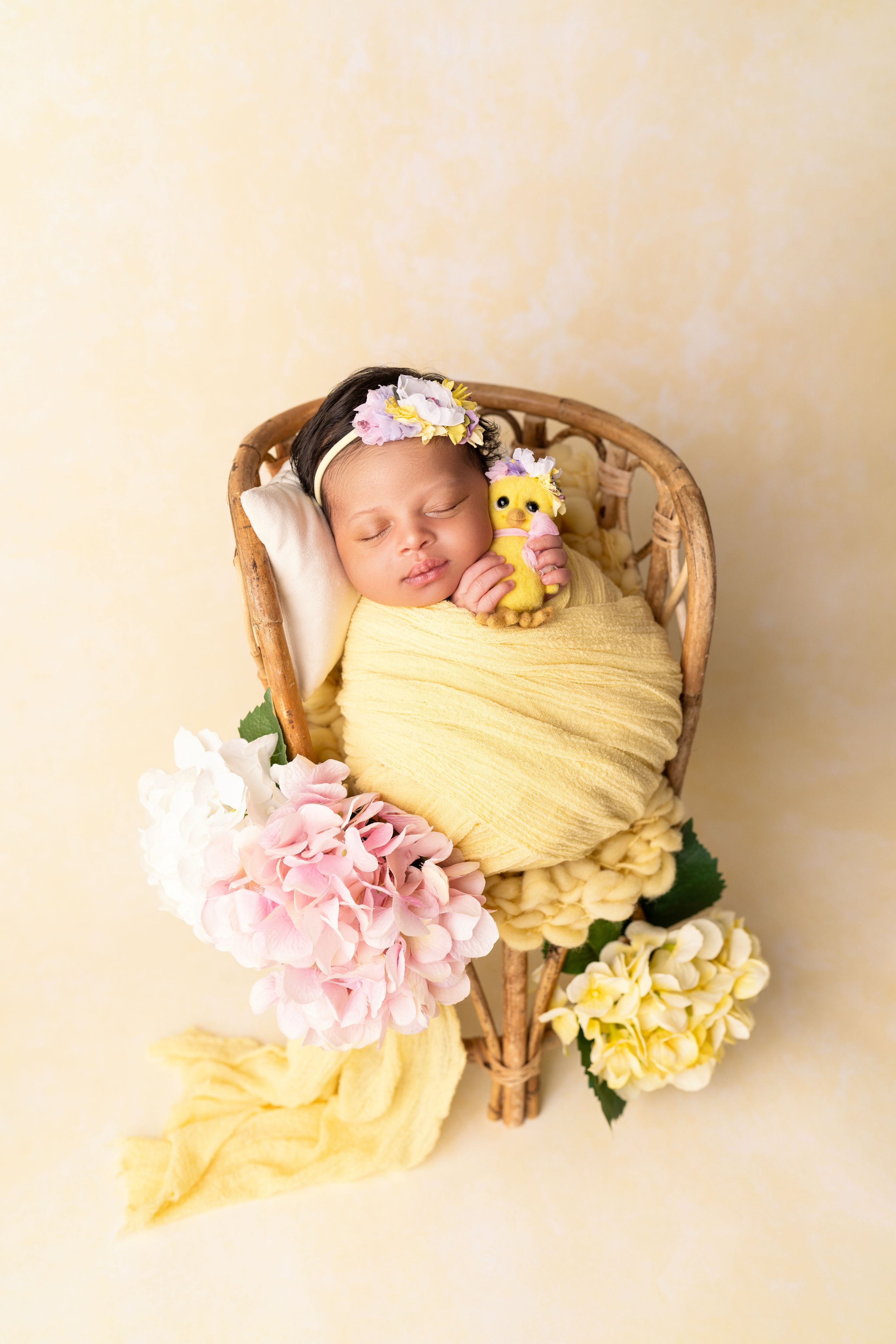 Packages and pricing. JaneProPhoto | Tampa Newborn Photographer
