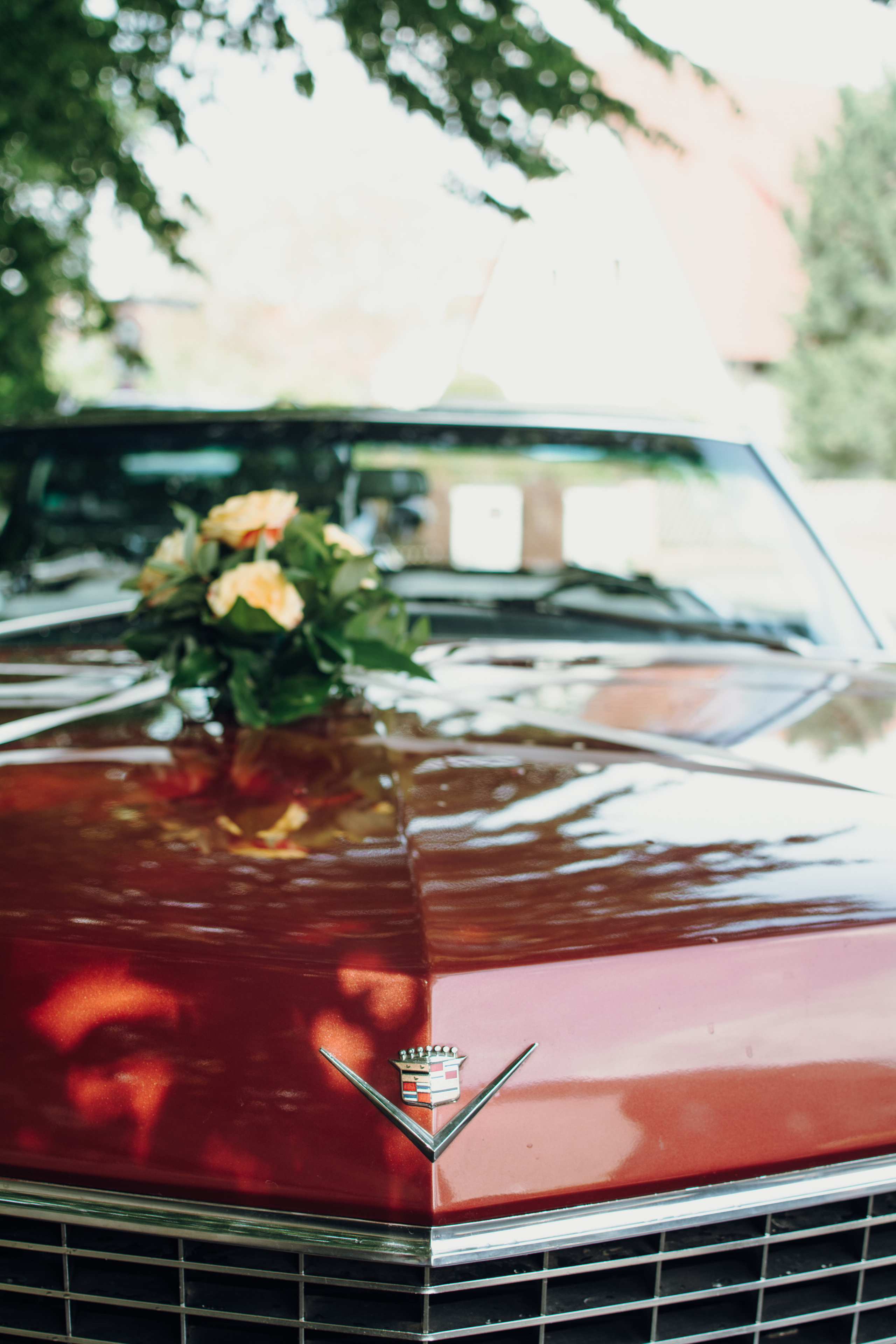 Hochzeit. Juligraphy