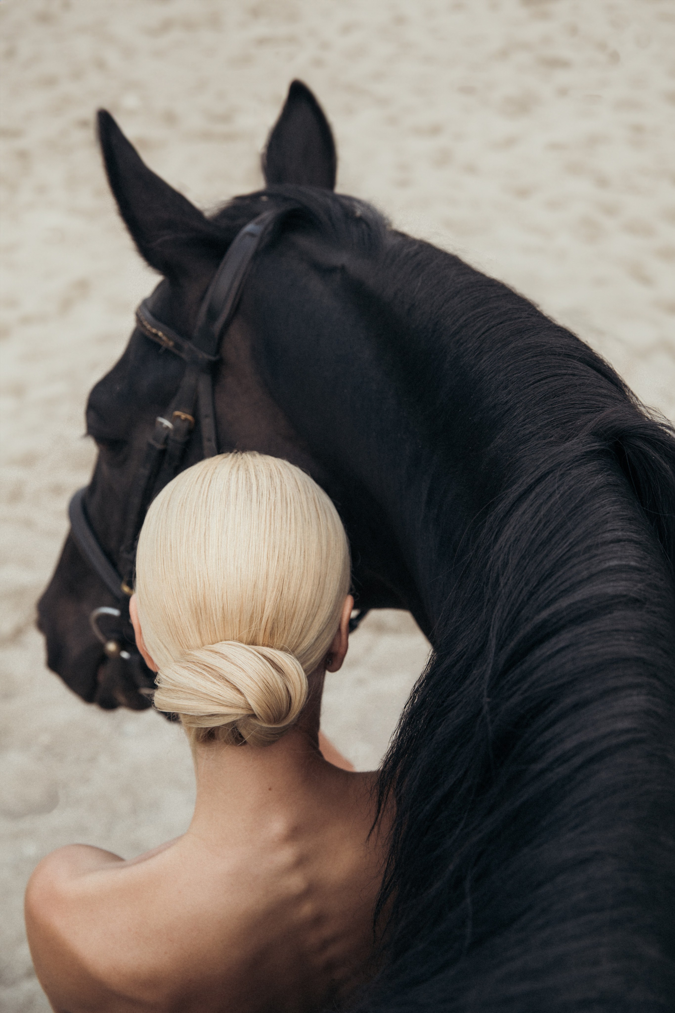 Horse & Rider Photoshoots In Florida