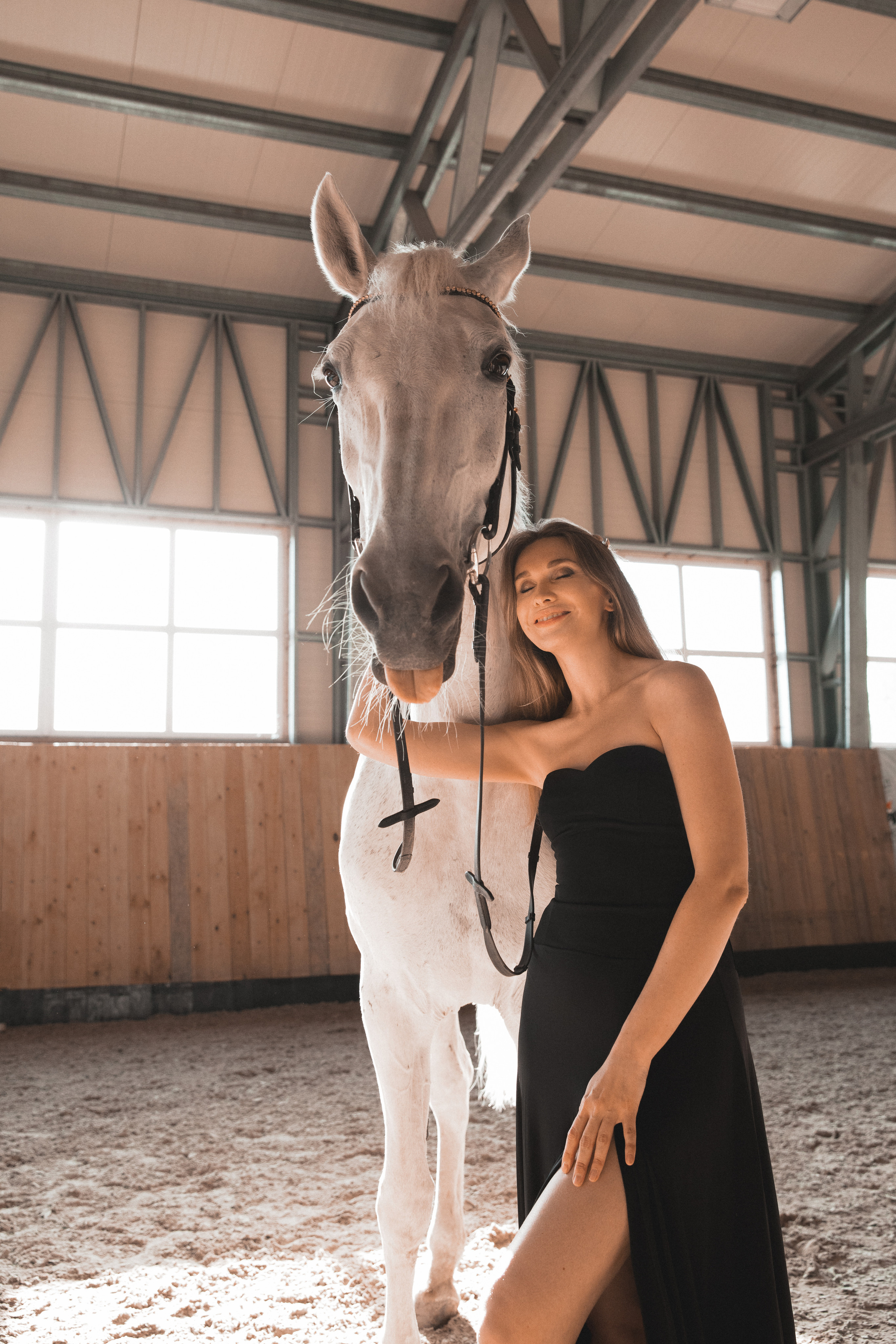 Equine mini sessions with horses and ponies