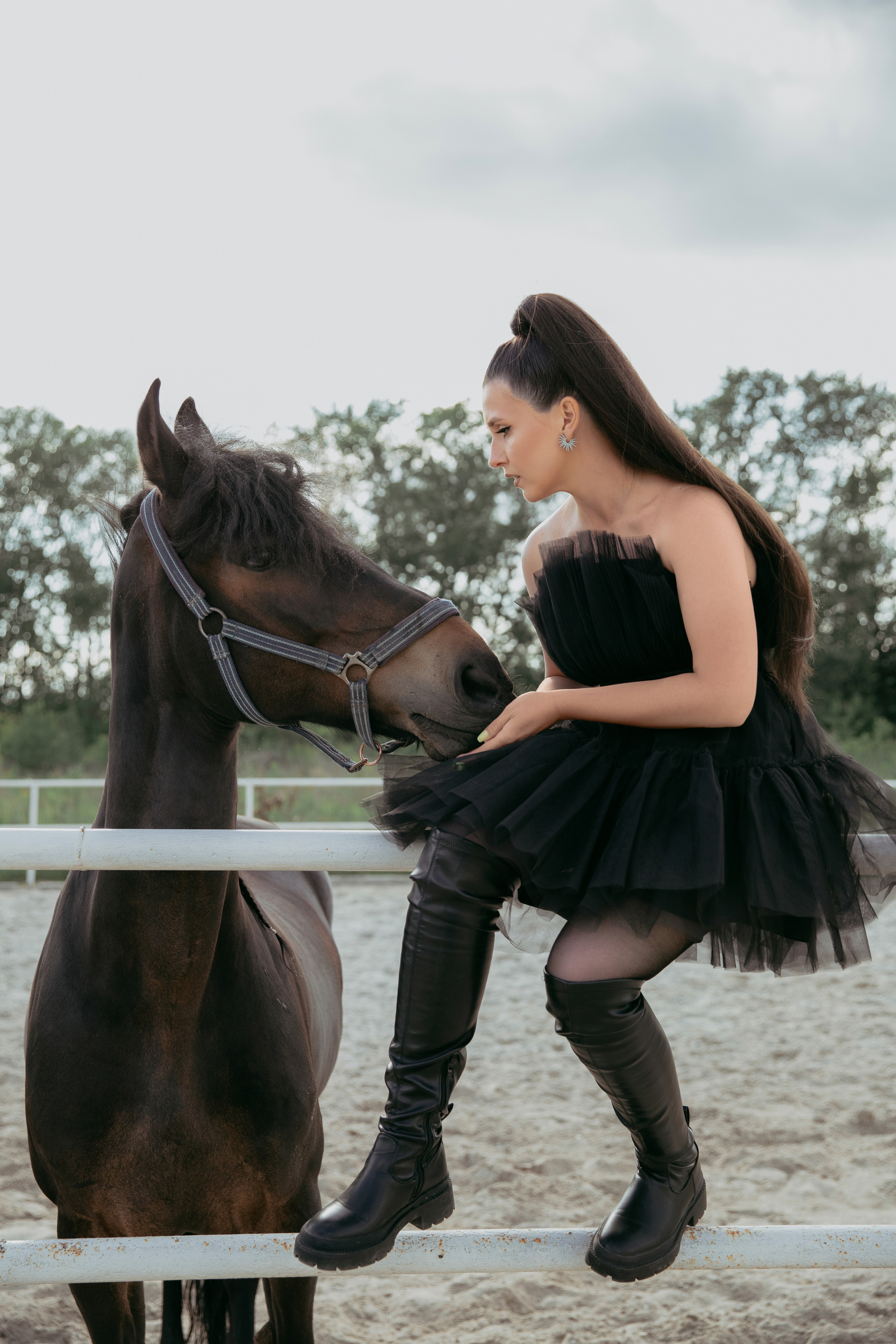 Equine mini sessions with horses and ponies