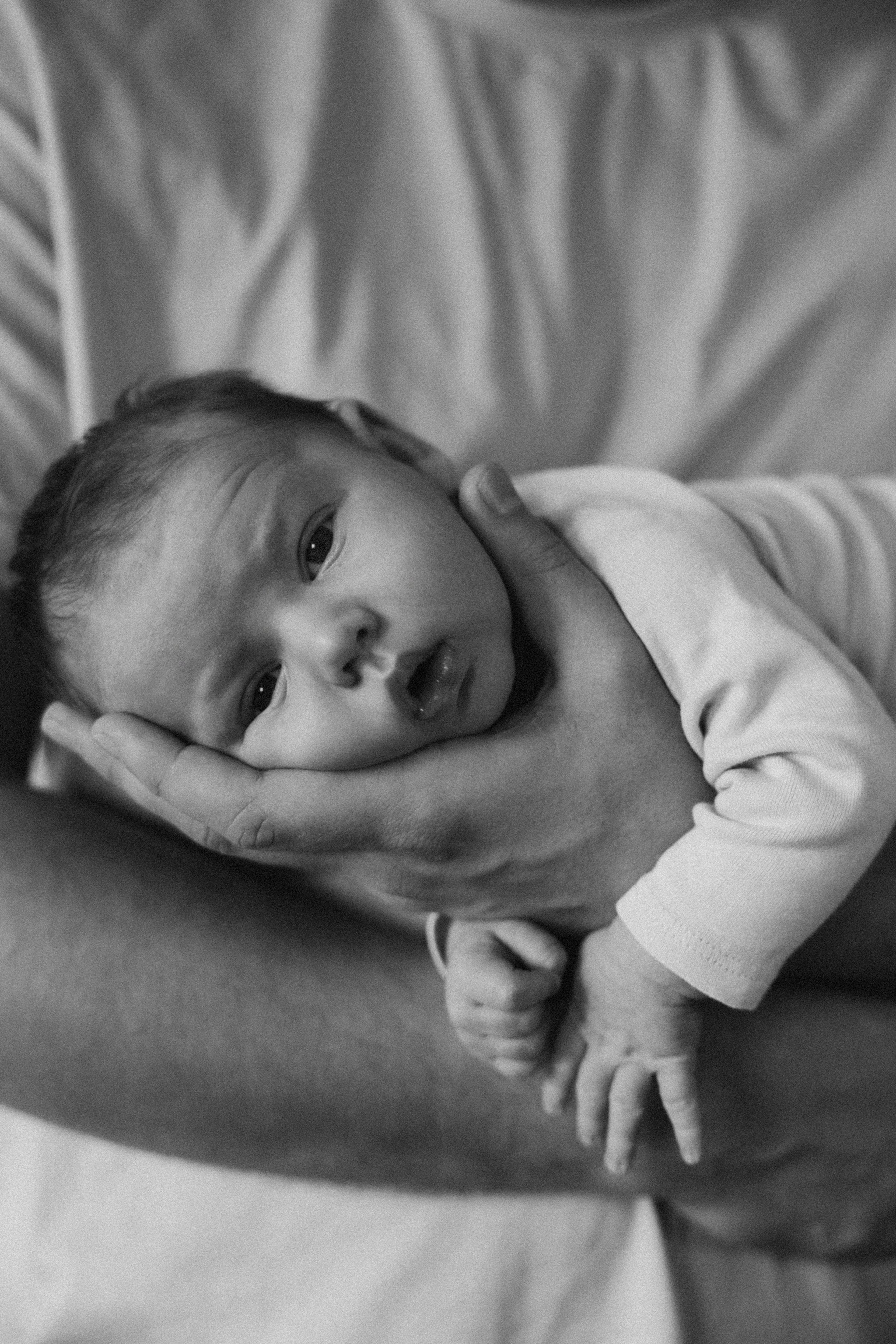 Kainos. Vestuvių ir šeimų fotografė Lena Bondarenko / belove photo