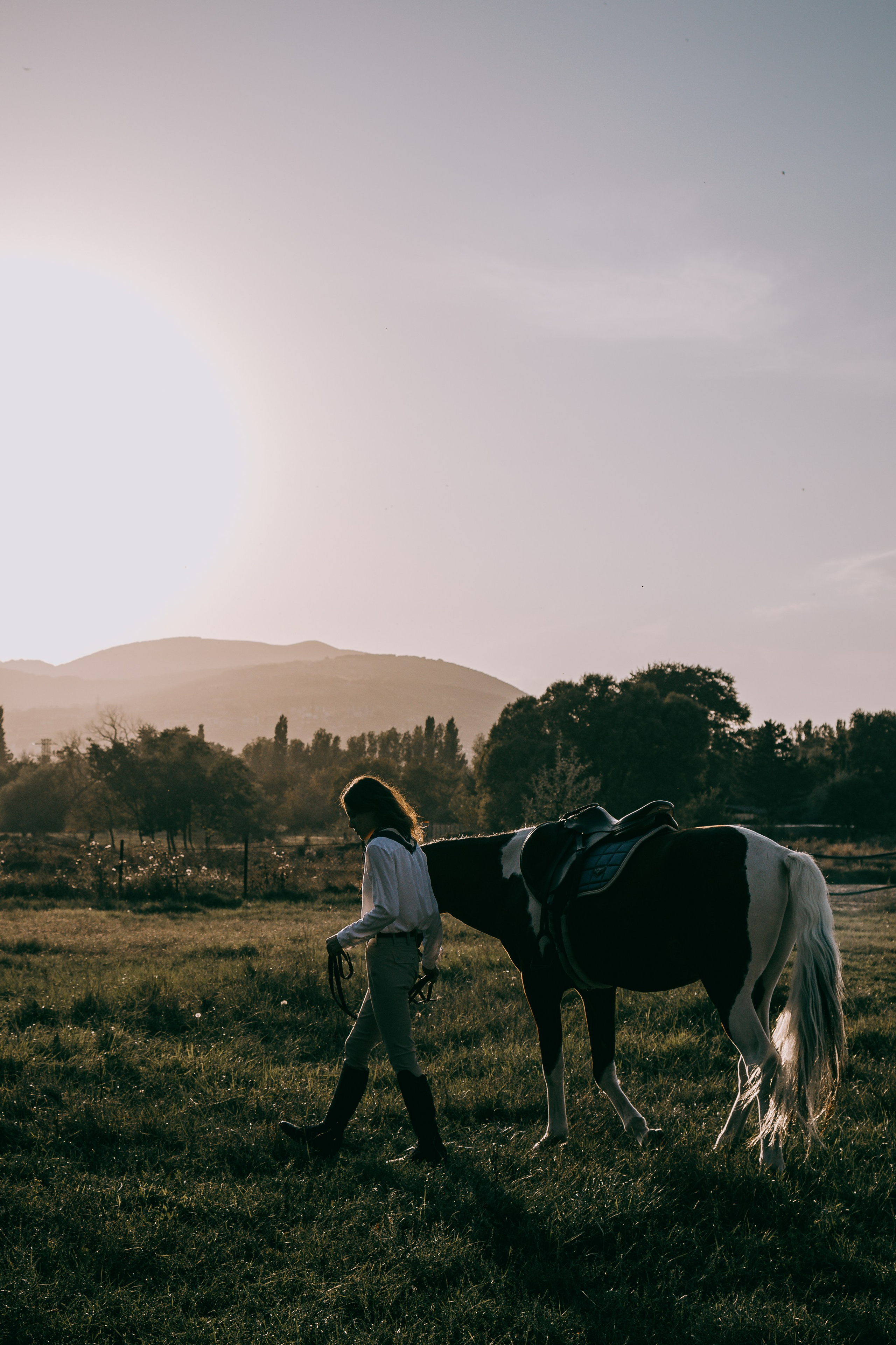 Free Guide on What to Expect on Your Equestrian Photoshoot. Lidia Golovina, Photographer in Tbilisi