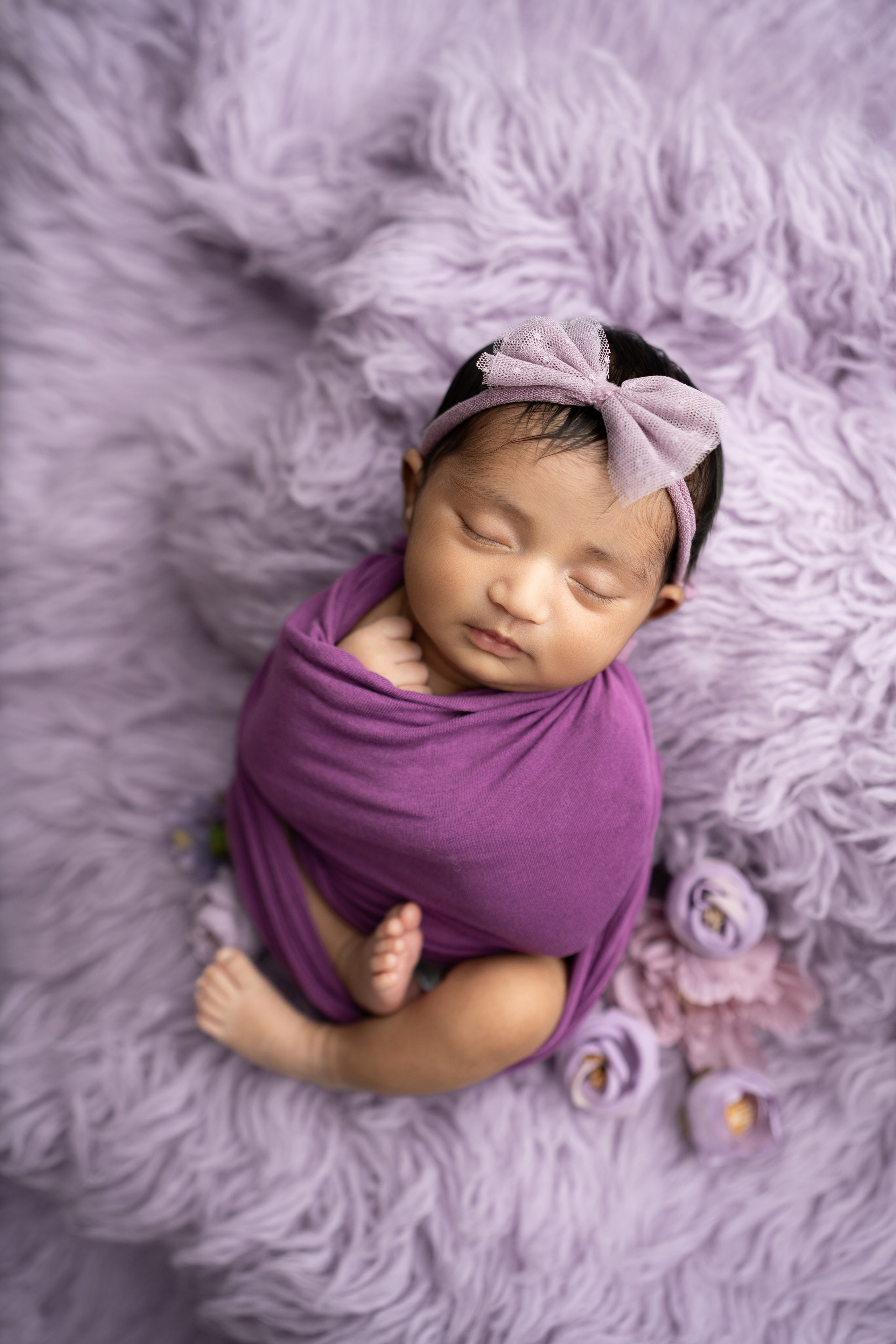 The Studio. Maternity, family and newborn photography in San Francisco Bay Area