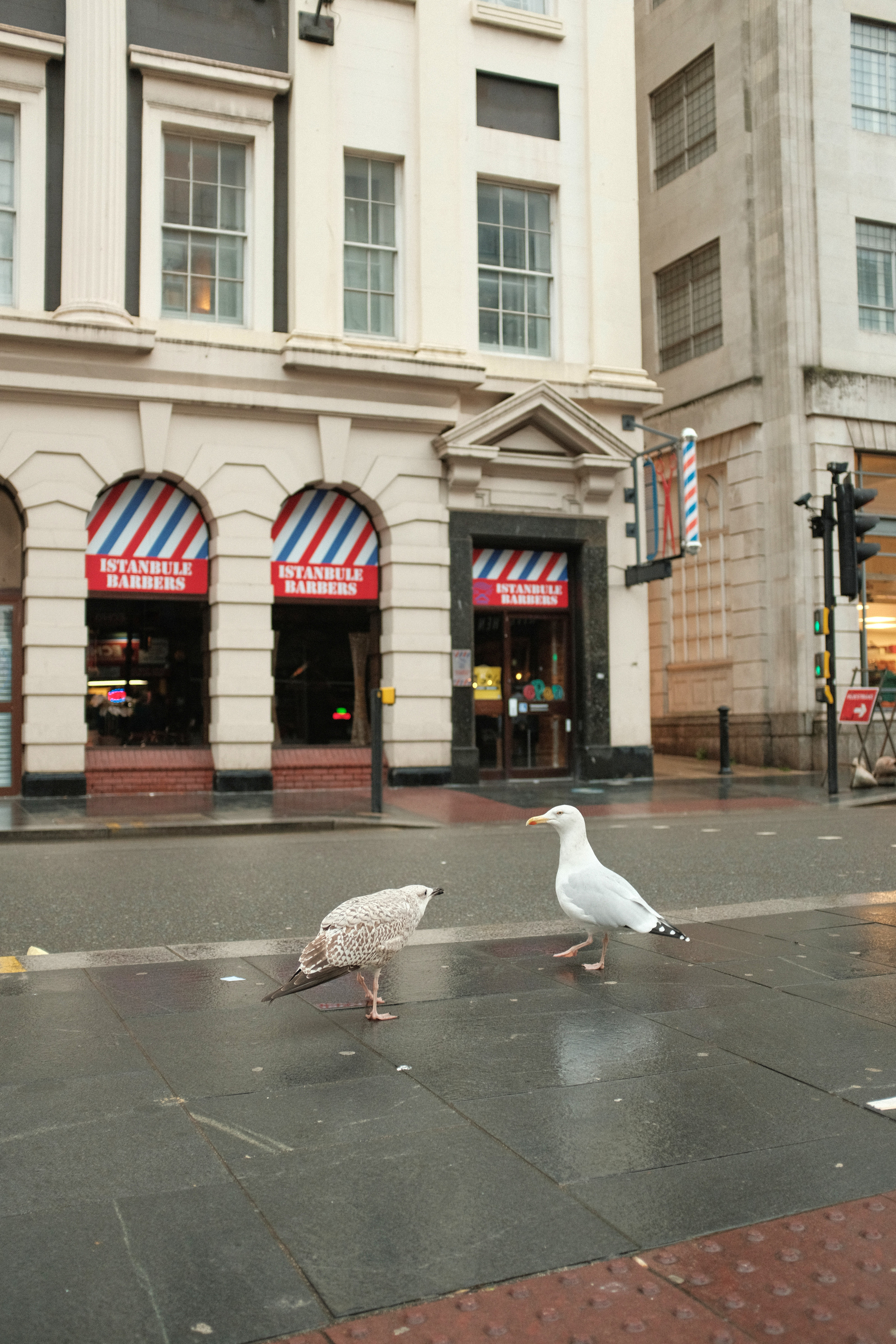 Kelionė į Angliją — Liverpulis. Fotografas Jevgenijus Misevič — misevicphoto.com