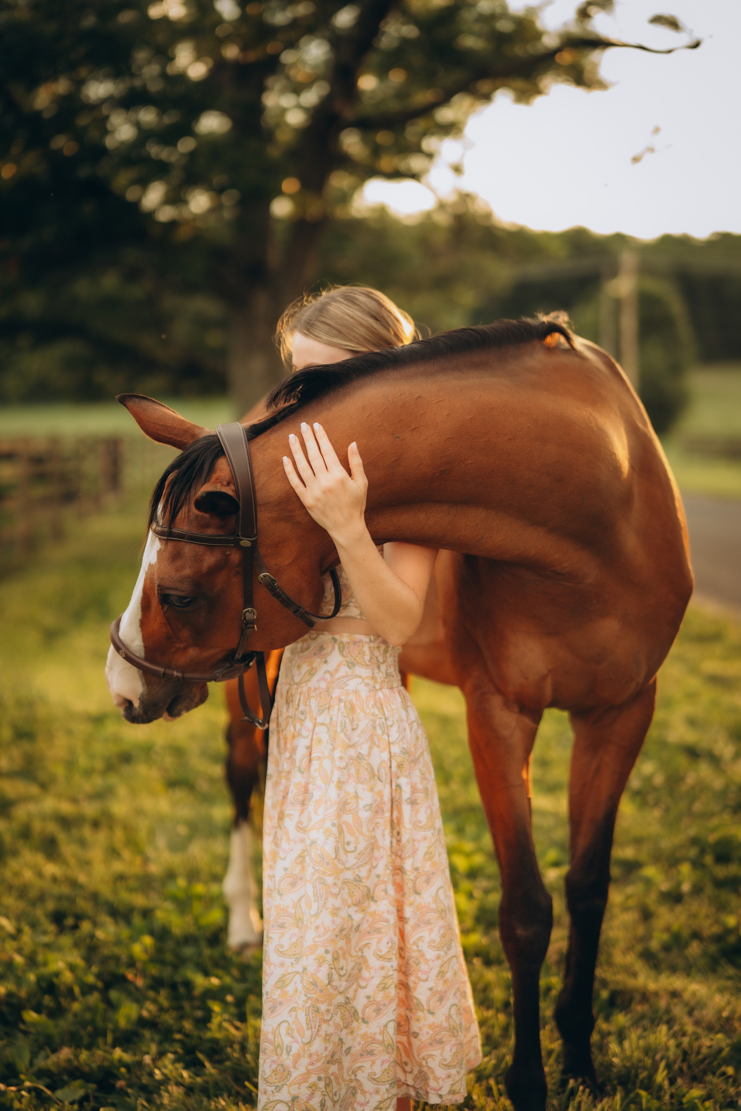 Photoshoot with a Horse. Lifestyle Family Photographer in Pennsylvania