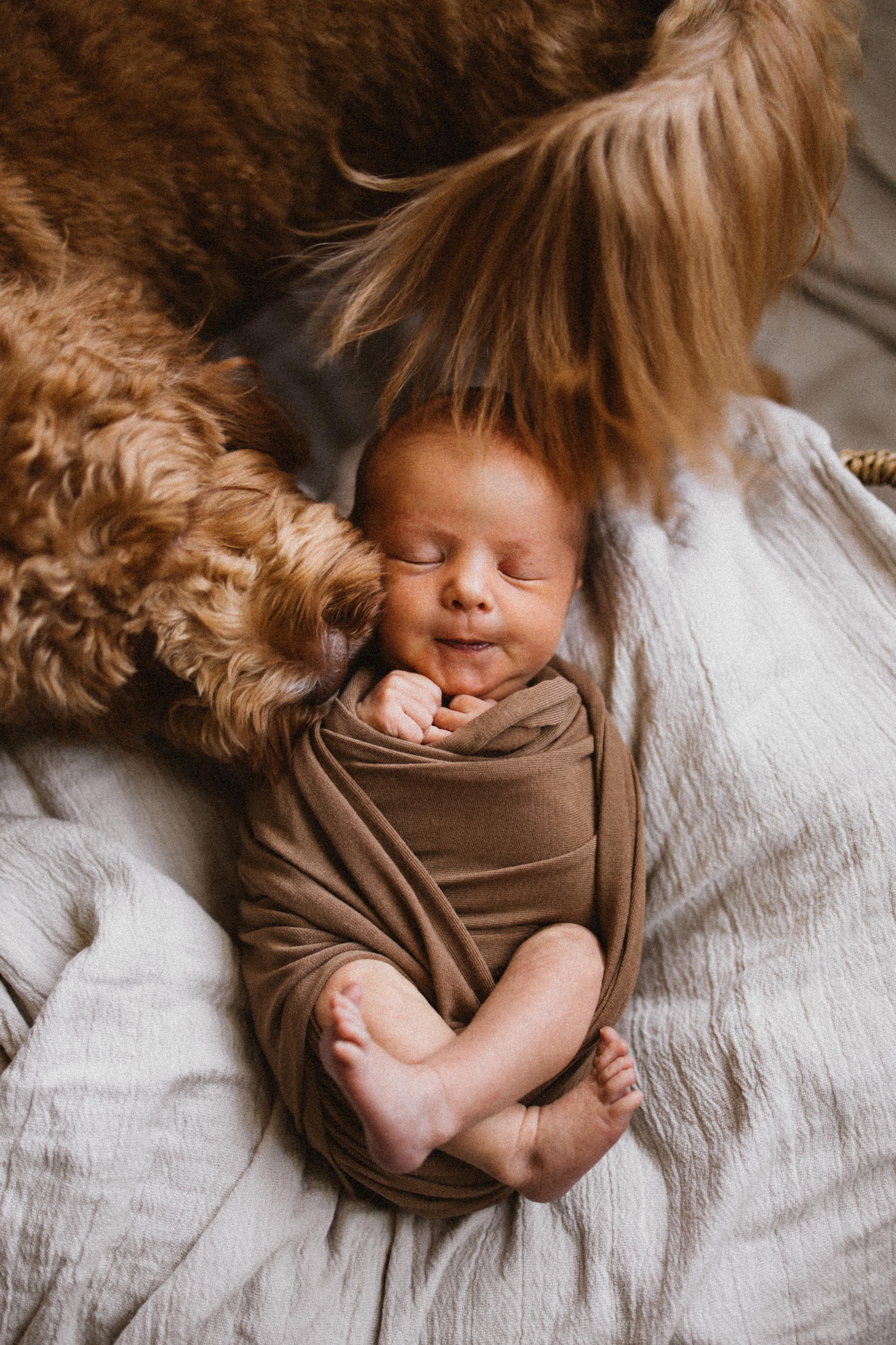 Newborn. Every moment is special!