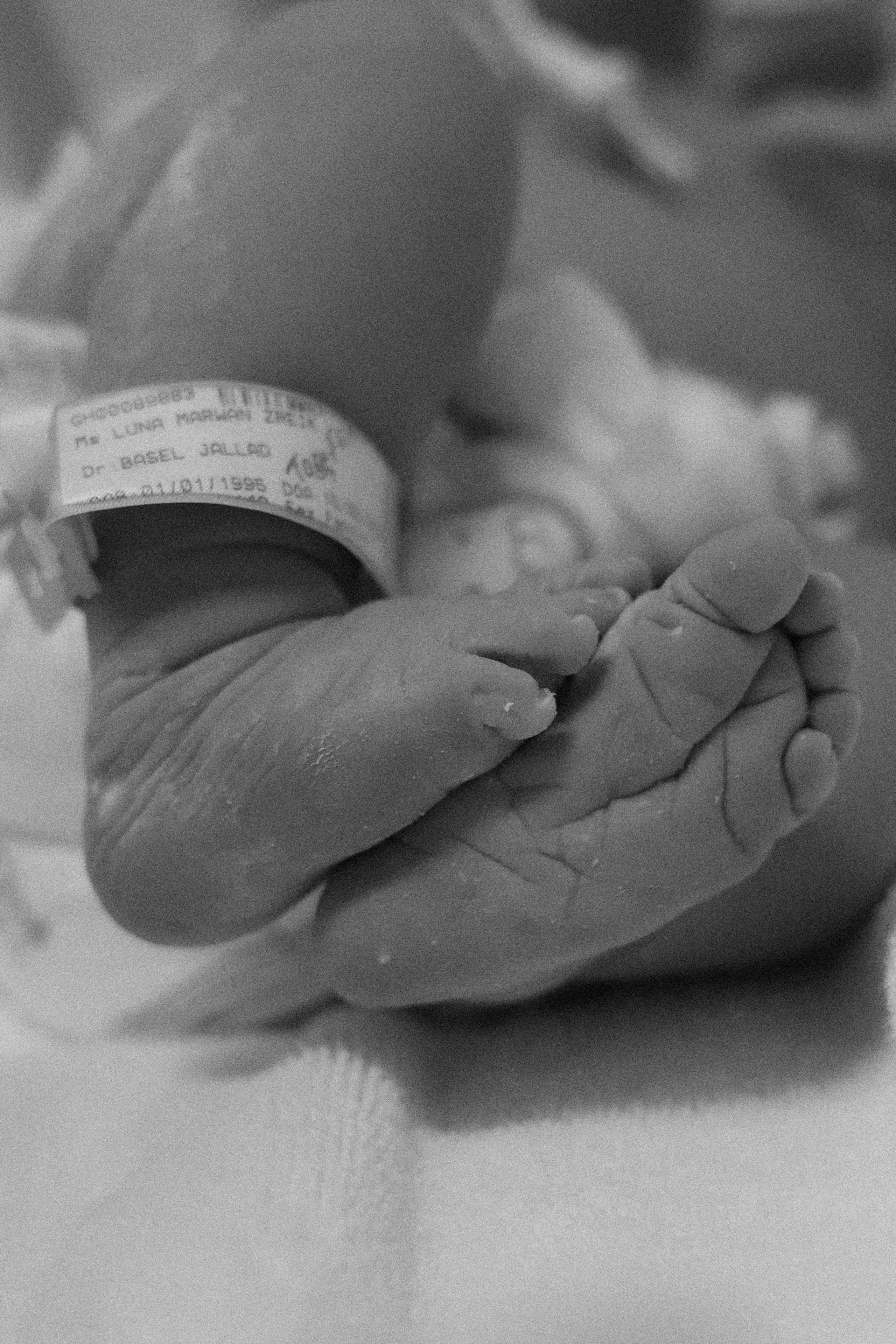 Services. Maternity & Birth Photographer in Dubai | Alexandra Lasheva
