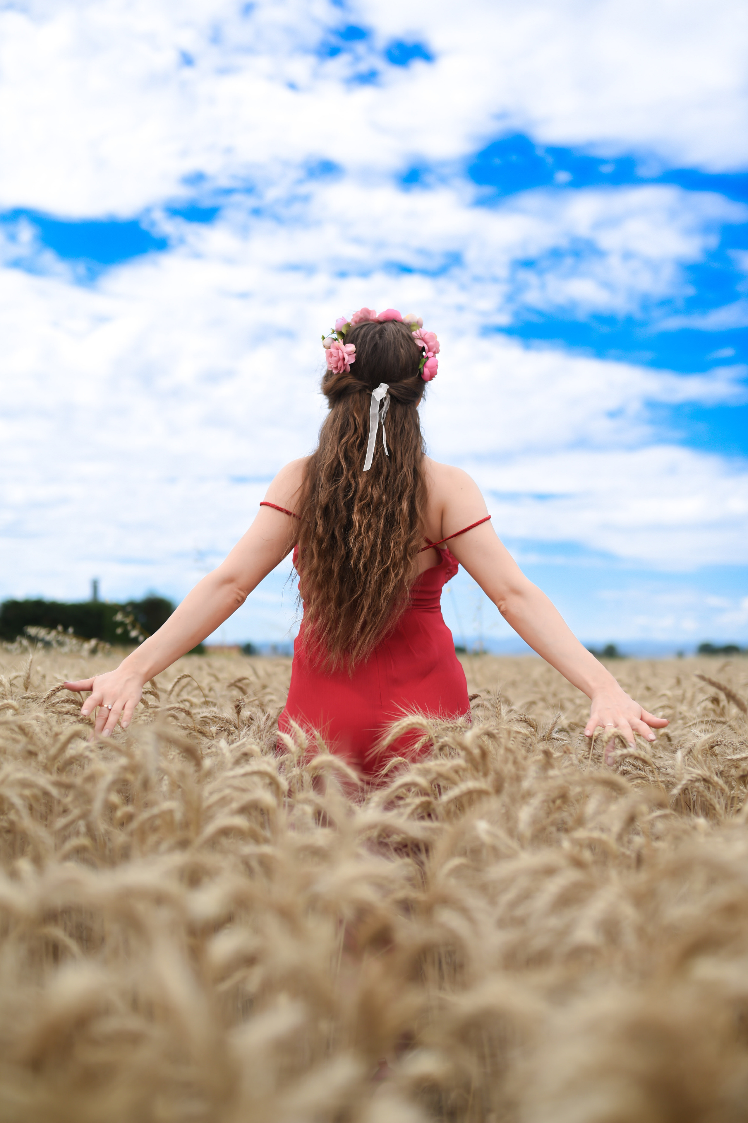 Mocanu Roman di fotografo in Bologna/Modena/Ferrara