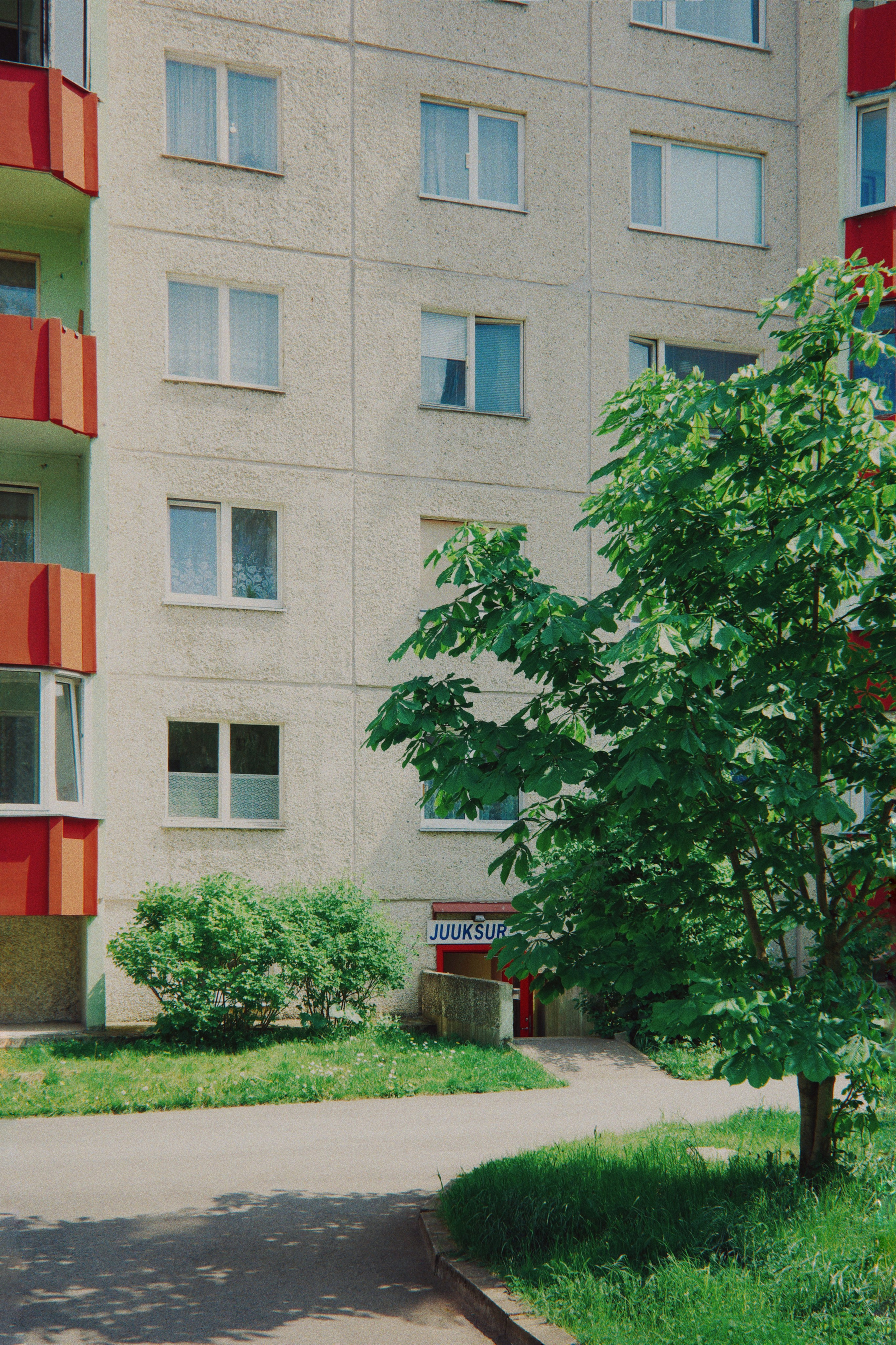 Estonian summer and Ricoh GR IIIx review. Artjom Kutuzov Photography