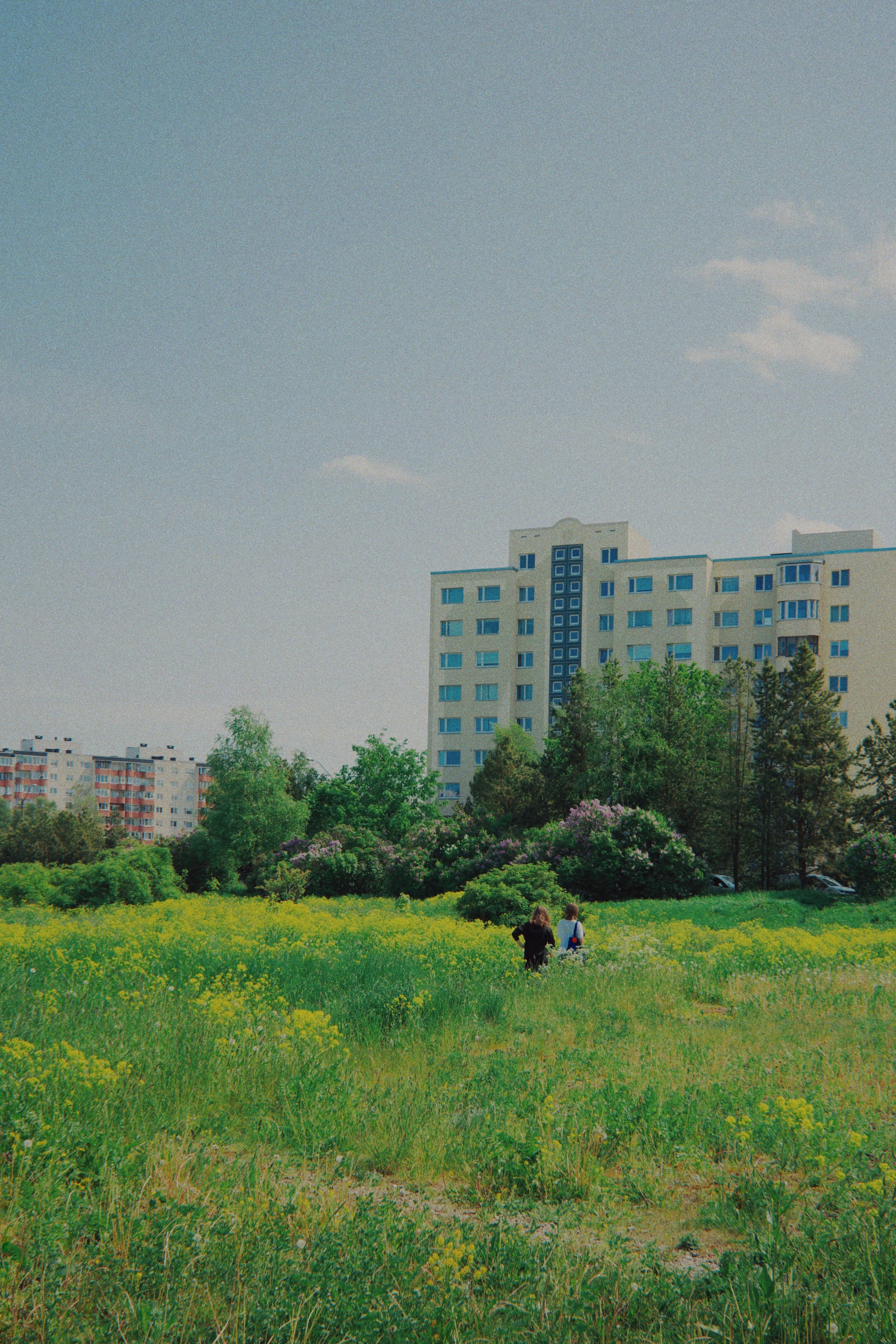 Estonian summer and Ricoh GR IIIx review. Artjom Kutuzov Photography