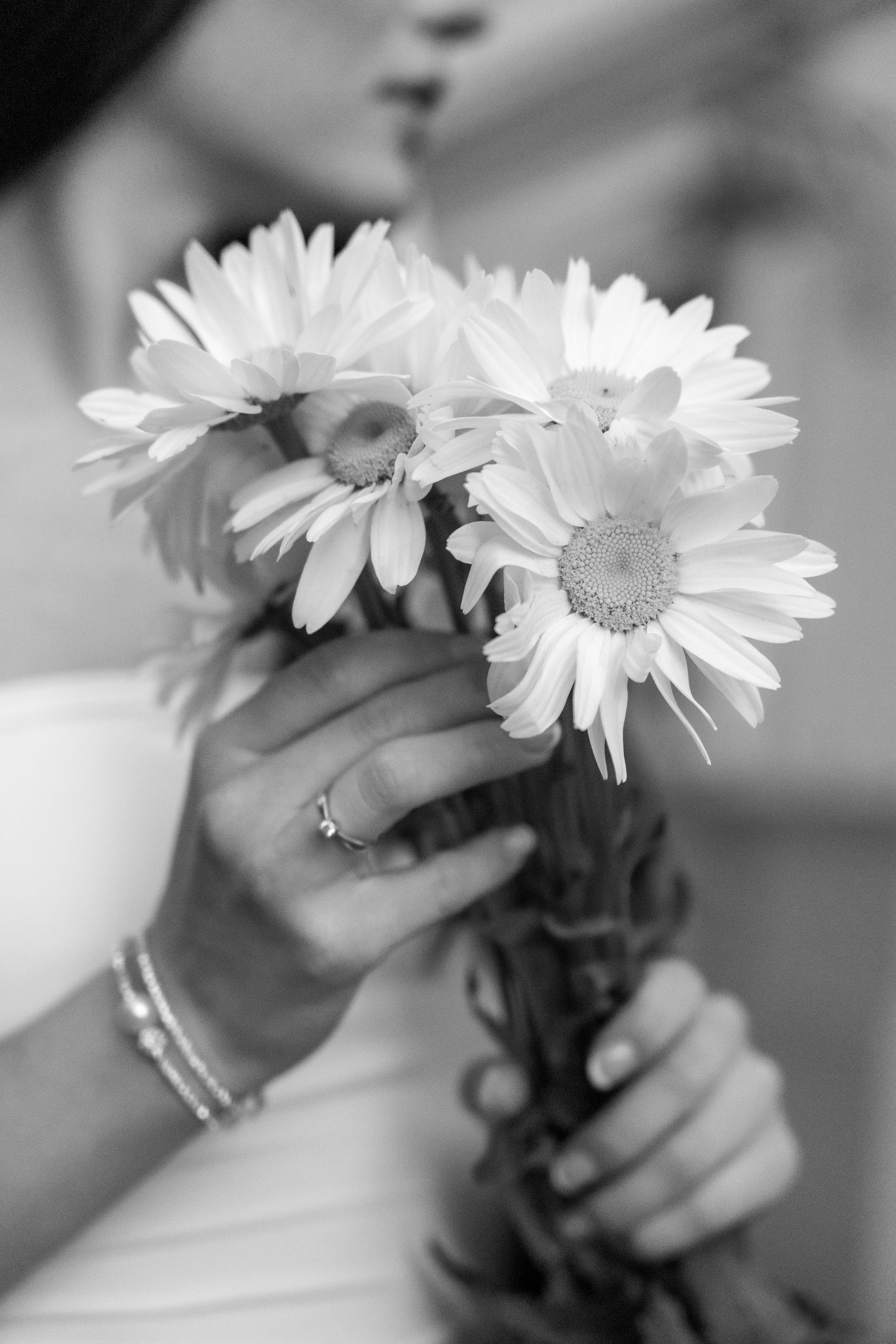 Aliaksandra Norvilas fotografas Vilnius