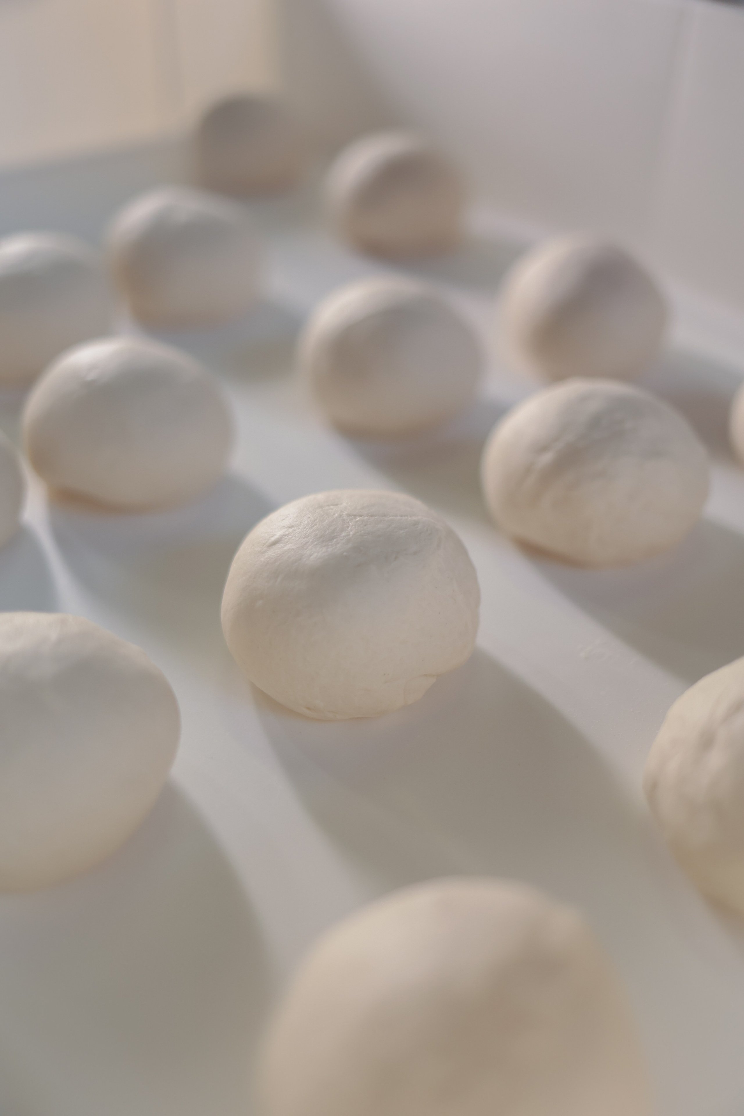 Services. Photographer in Milan |Mila Pro Photo