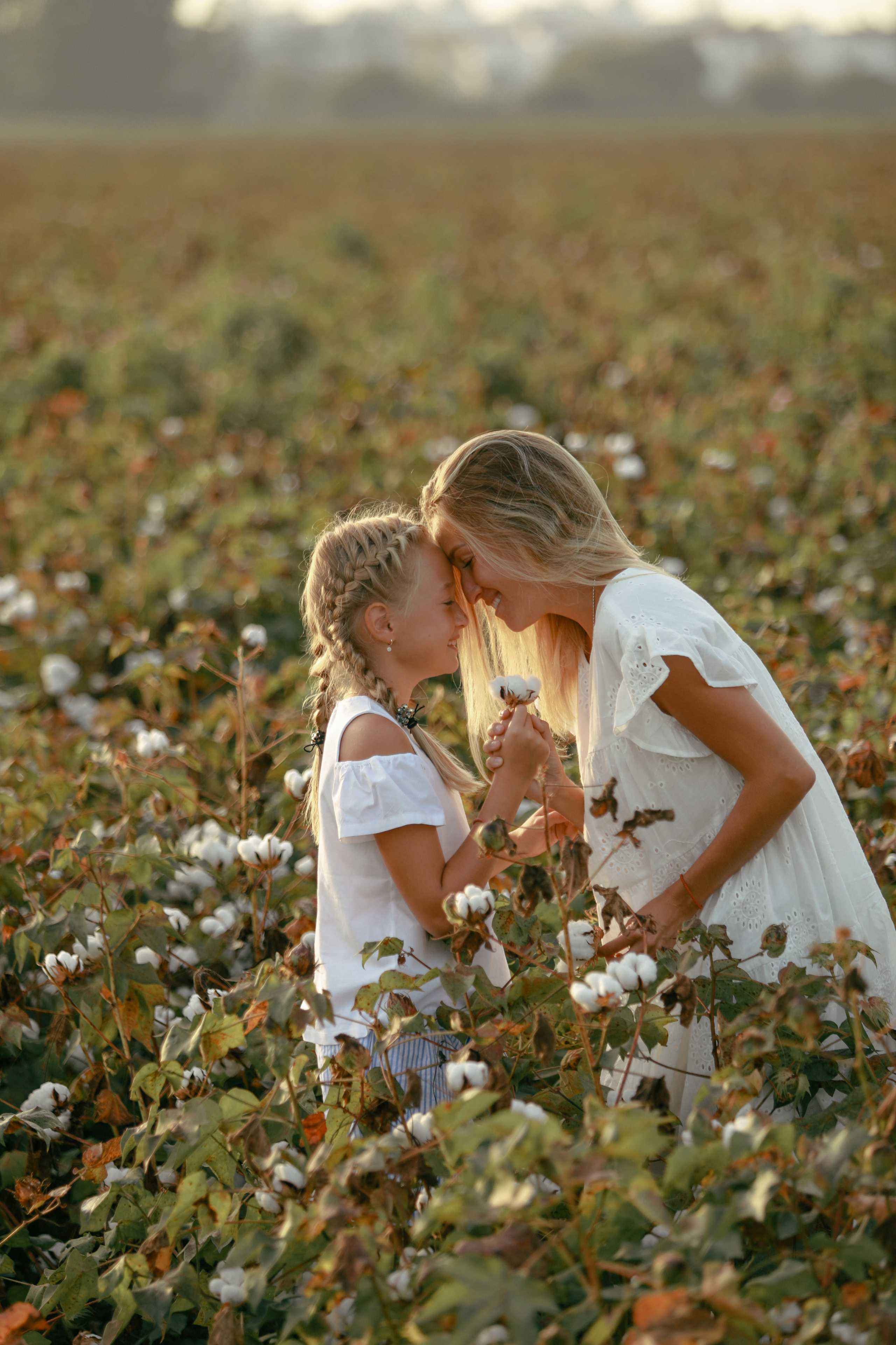 Фотосессия на хлопковом поле (сентябрь–октябрь). Фотограф в Турции | Алания, Сиде, Белек, Анталия, Кемер)
