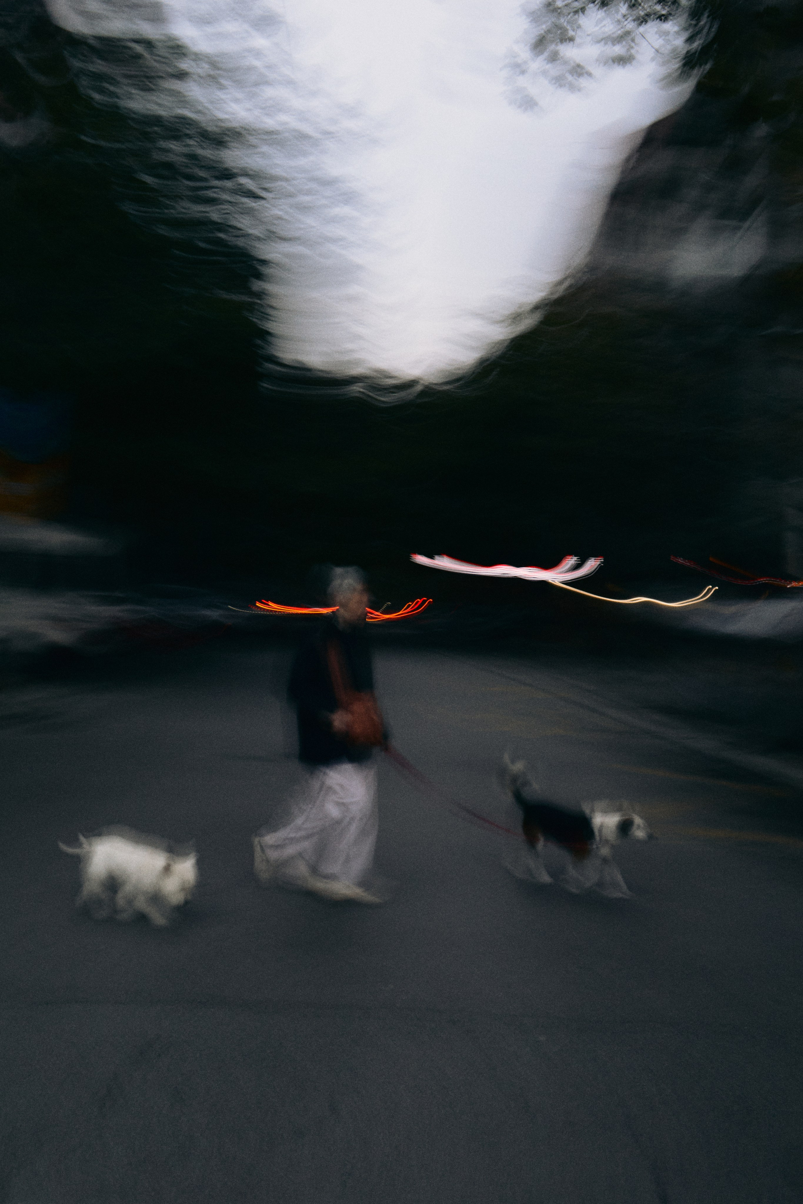 Подписка на фото. Анастасия Еремина | Фотограф в Сербии | Персональные и бизнес-фотосессии в Белграде и Нови Саде