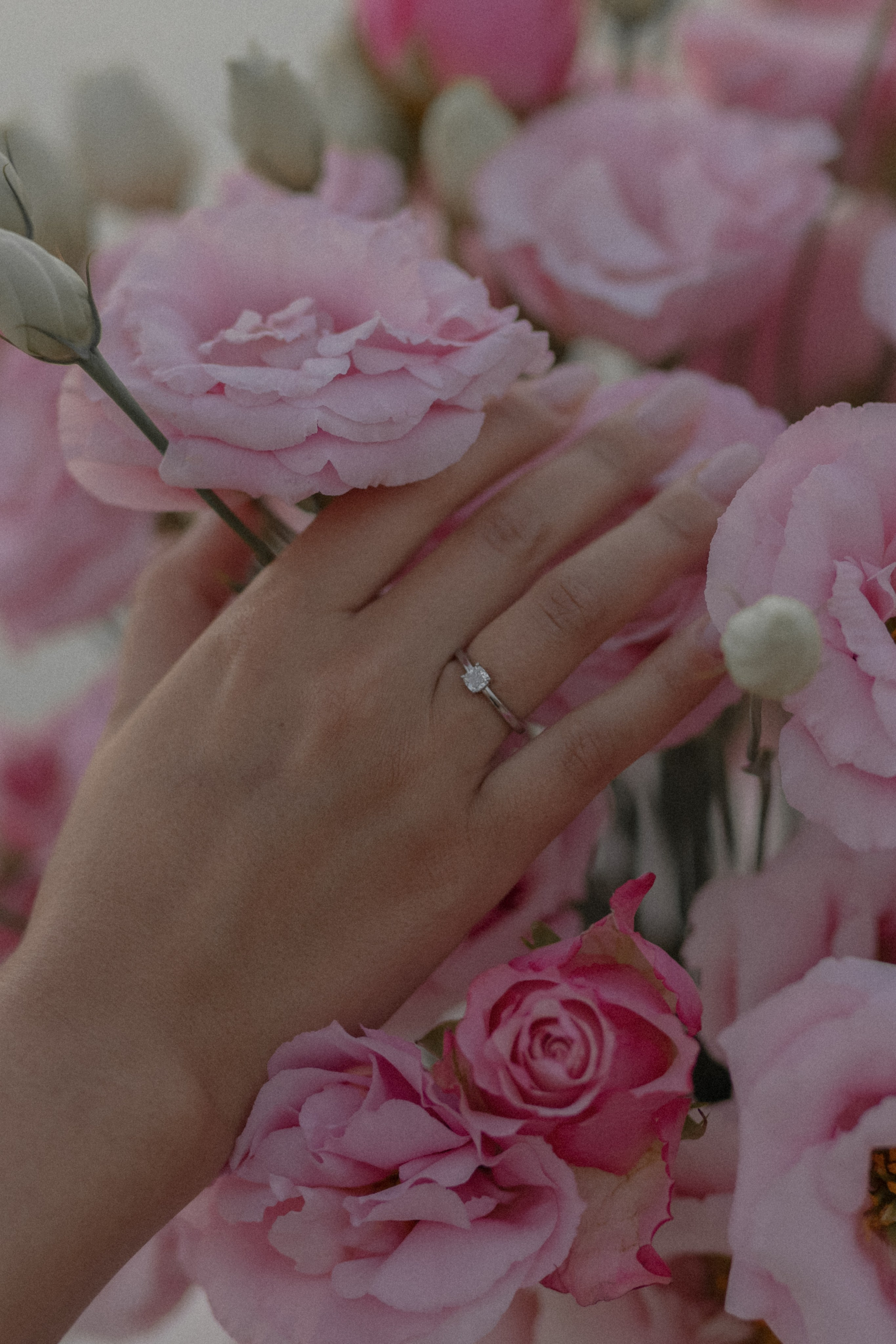 Merry me в Анталии. Wedding & Event Planner