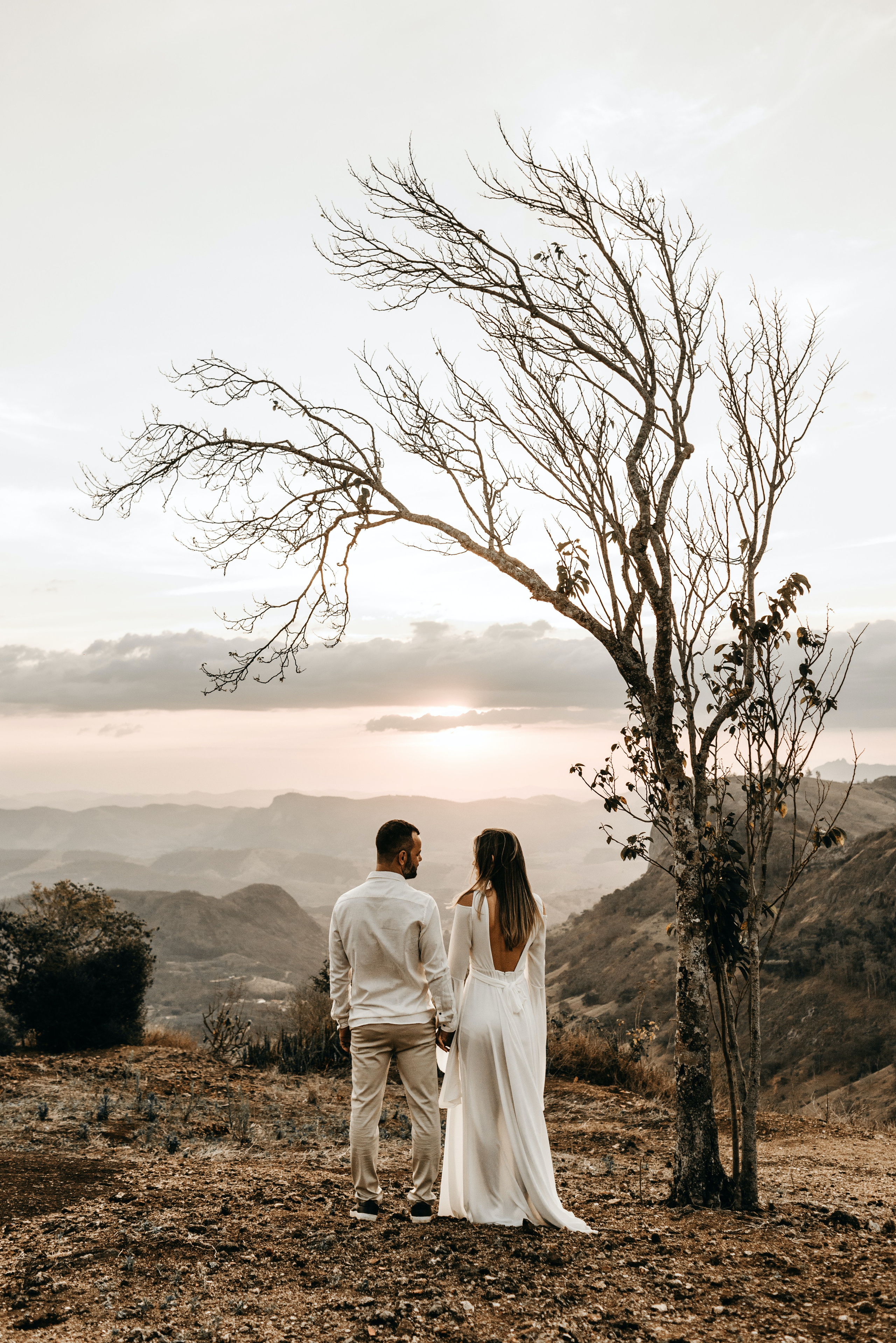 The bride and groom stand by a tree against the background of sunset