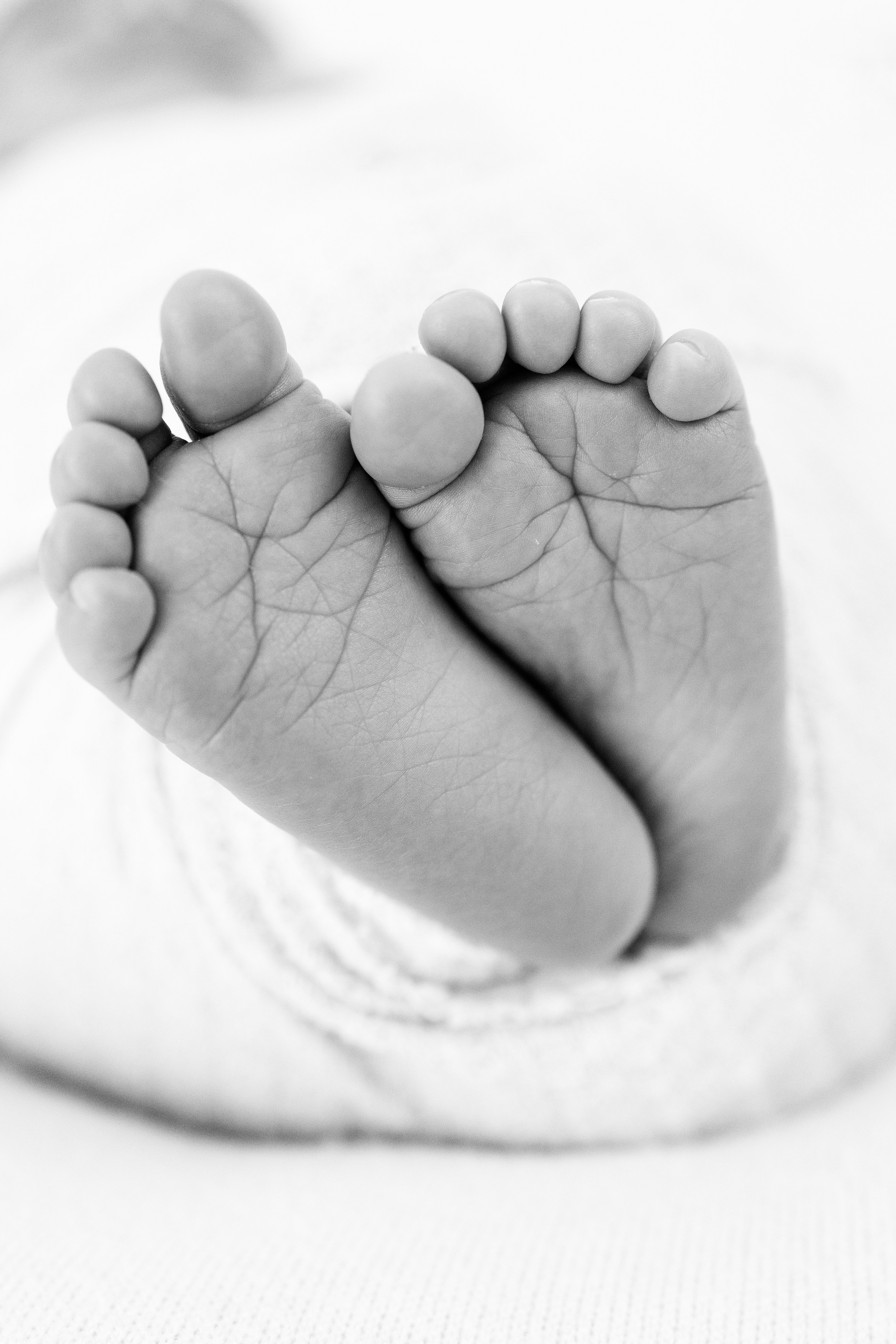 Anaeliseevaphoto.com