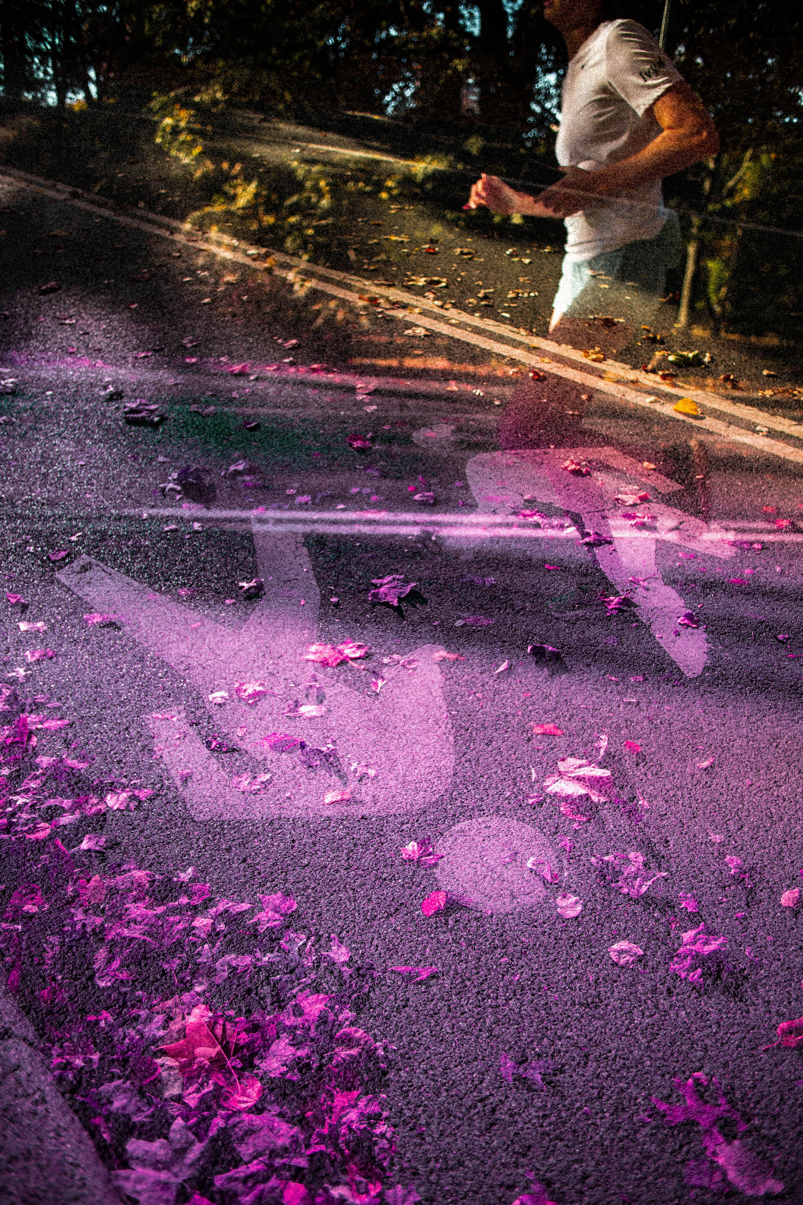 PINK SKY COLLECTION. Visual Artist Raisa Boiko