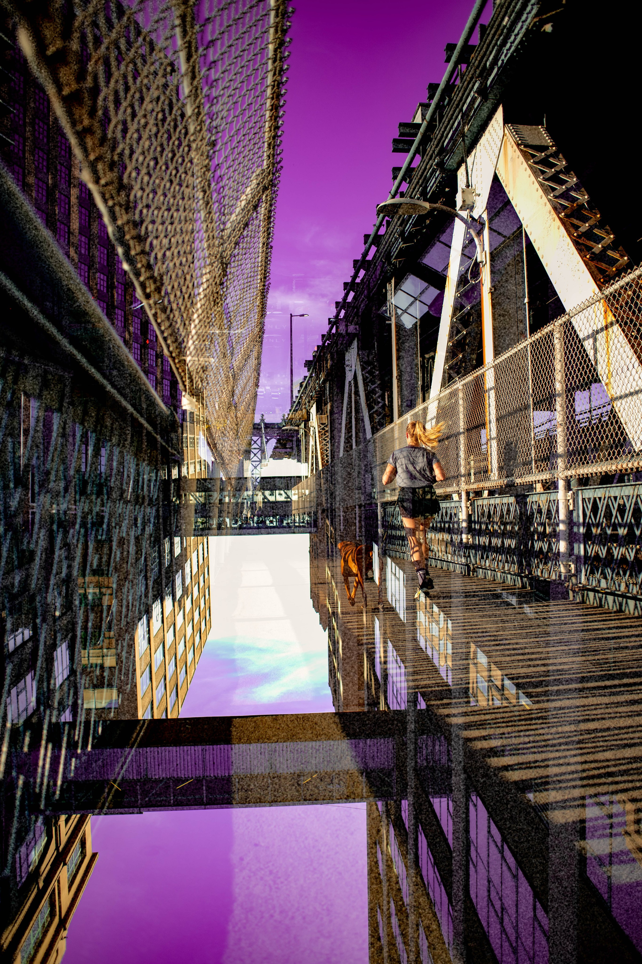 PINK SKY COLLECTION. Visual Artist Raisa Boiko