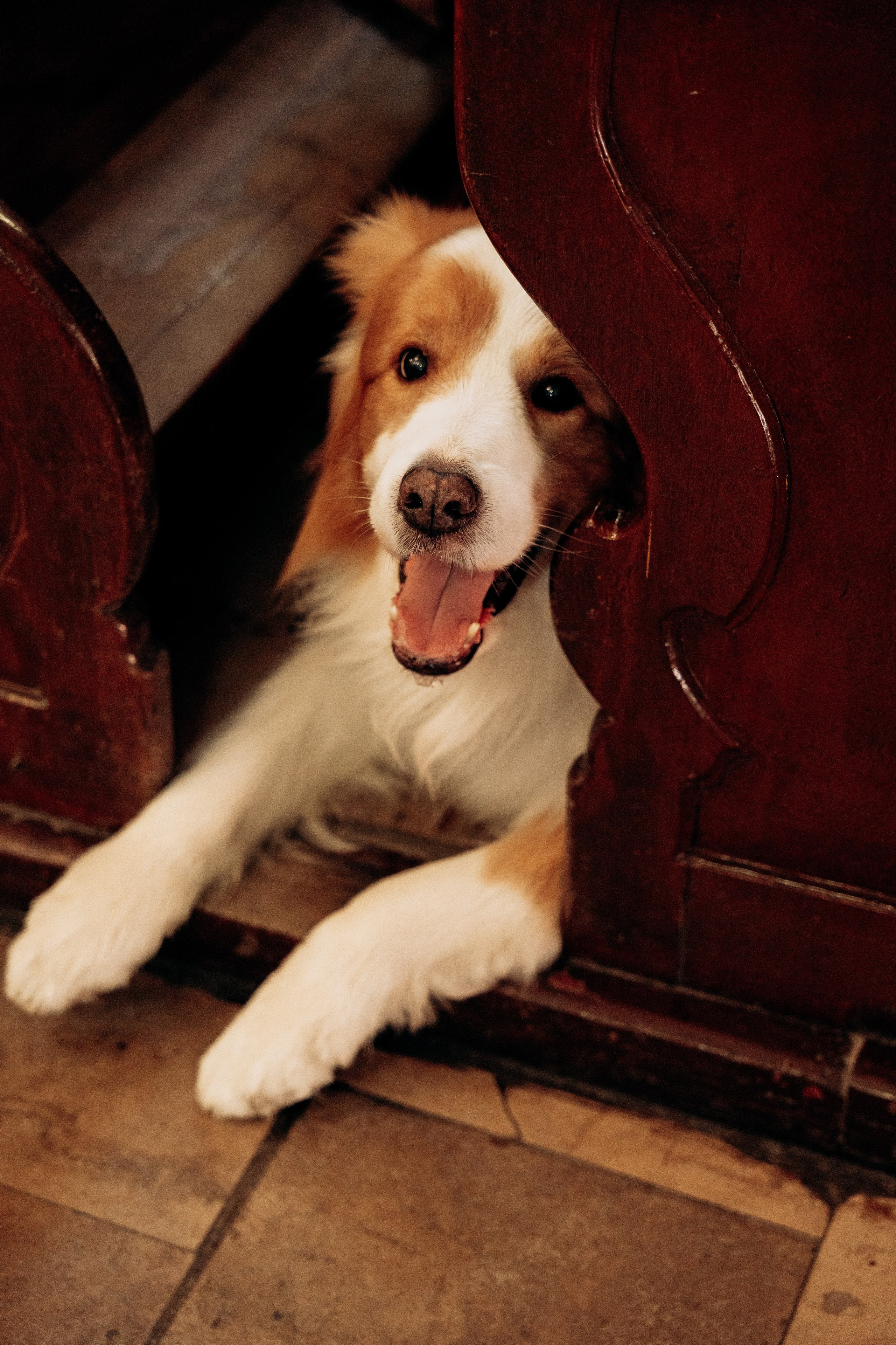 Fotografia ślubna w kościele w Polsce: porady i prawdziwe przykłady zdjęć