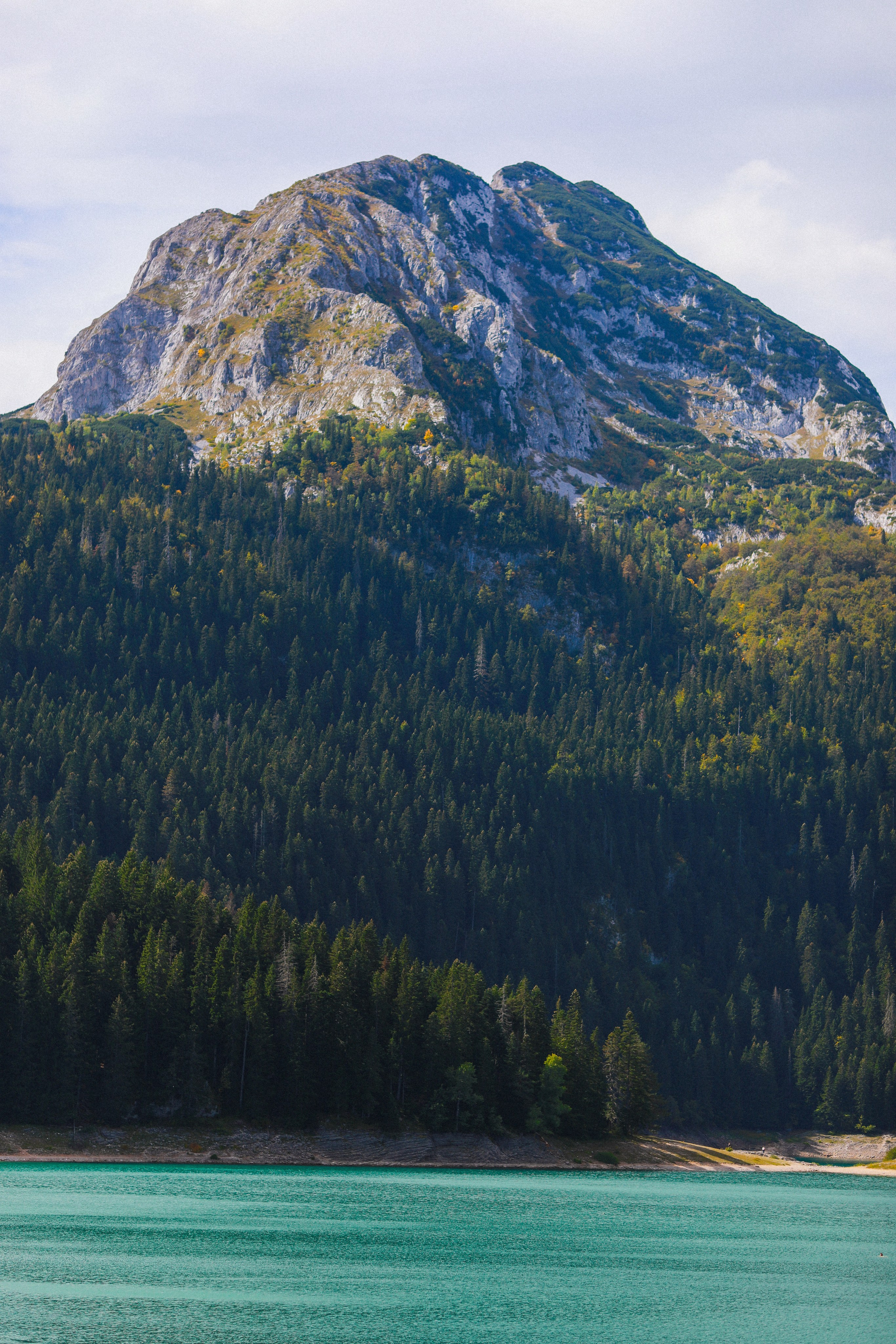 Scenic mountain and forest view in Montenegro near Kotor coastline