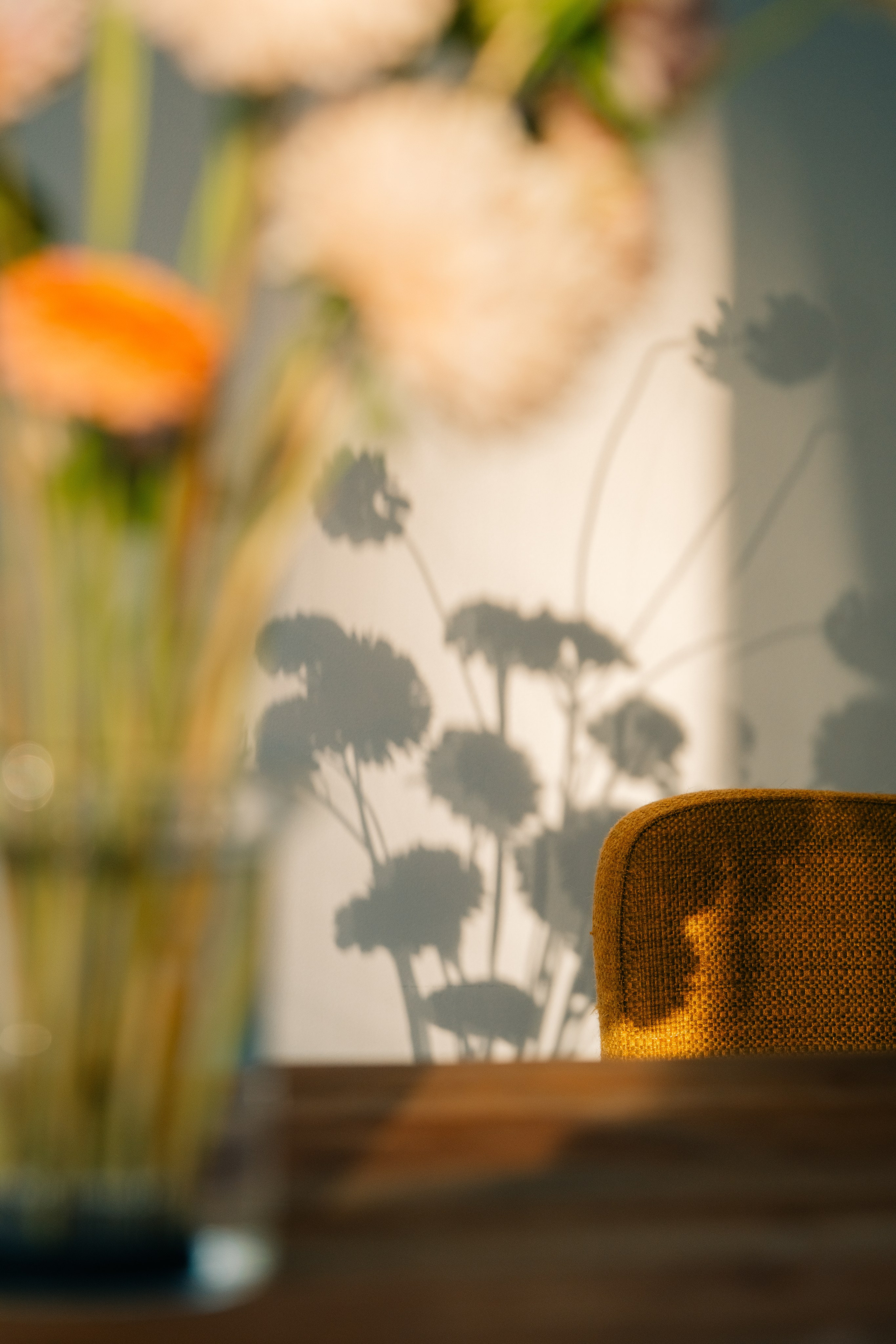 Maria Sher. Fotógrafa profissional do Porto, Portugal