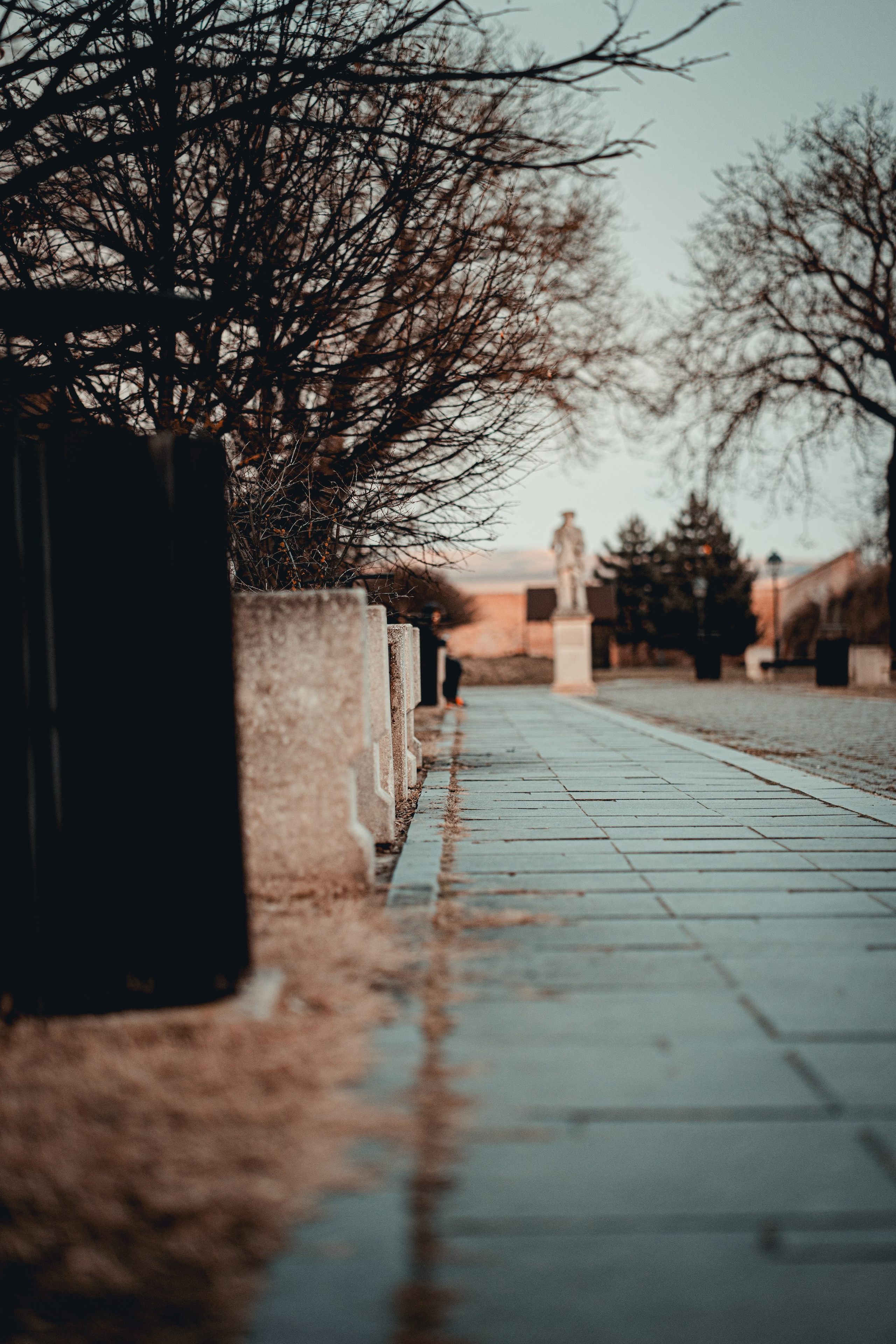 Descoperă Călătoria Mea Fotografică la Cetatea Alba Iulia Carolina. Fotografie & Videografie Nunta