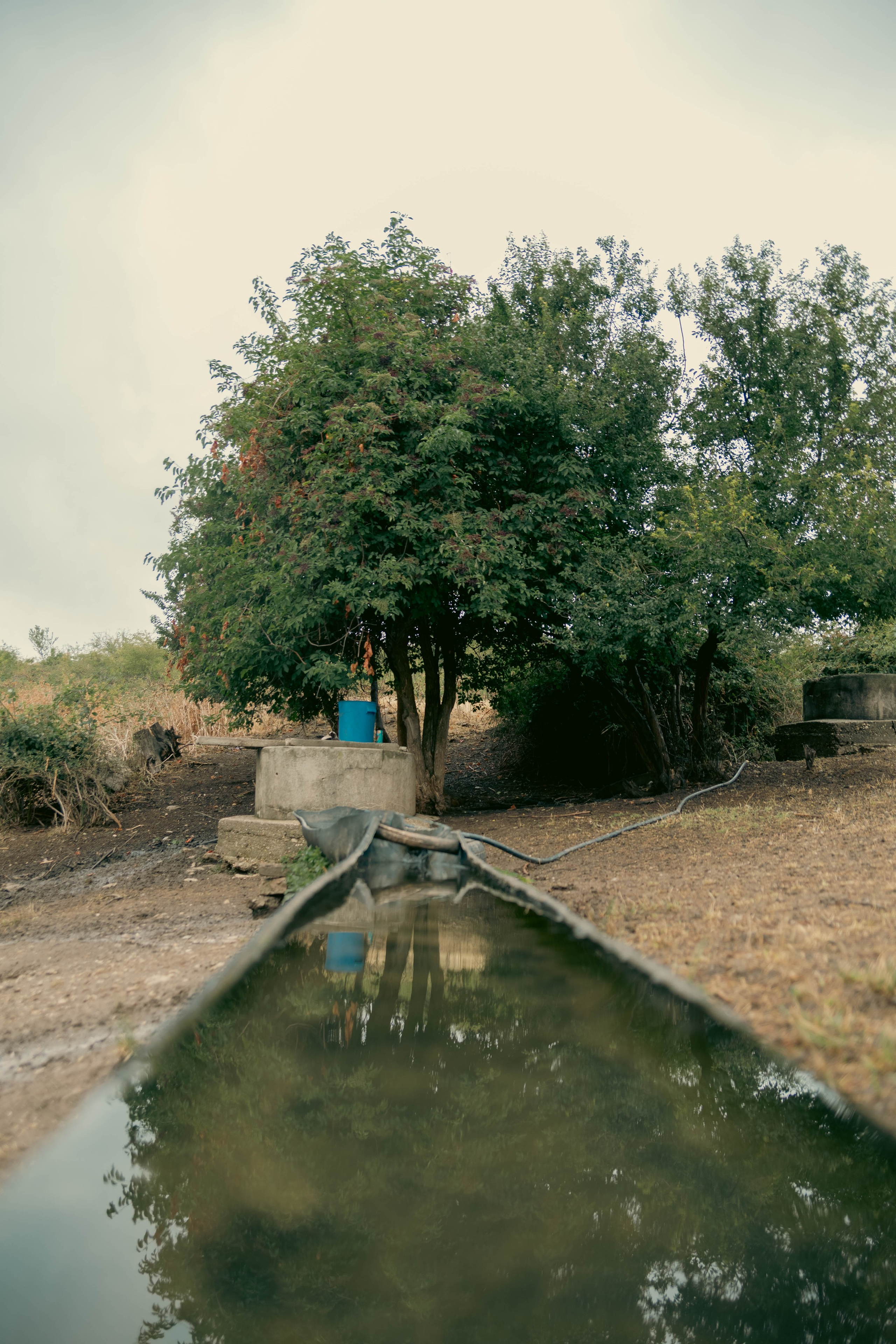 O drumeție simplă la Șiria