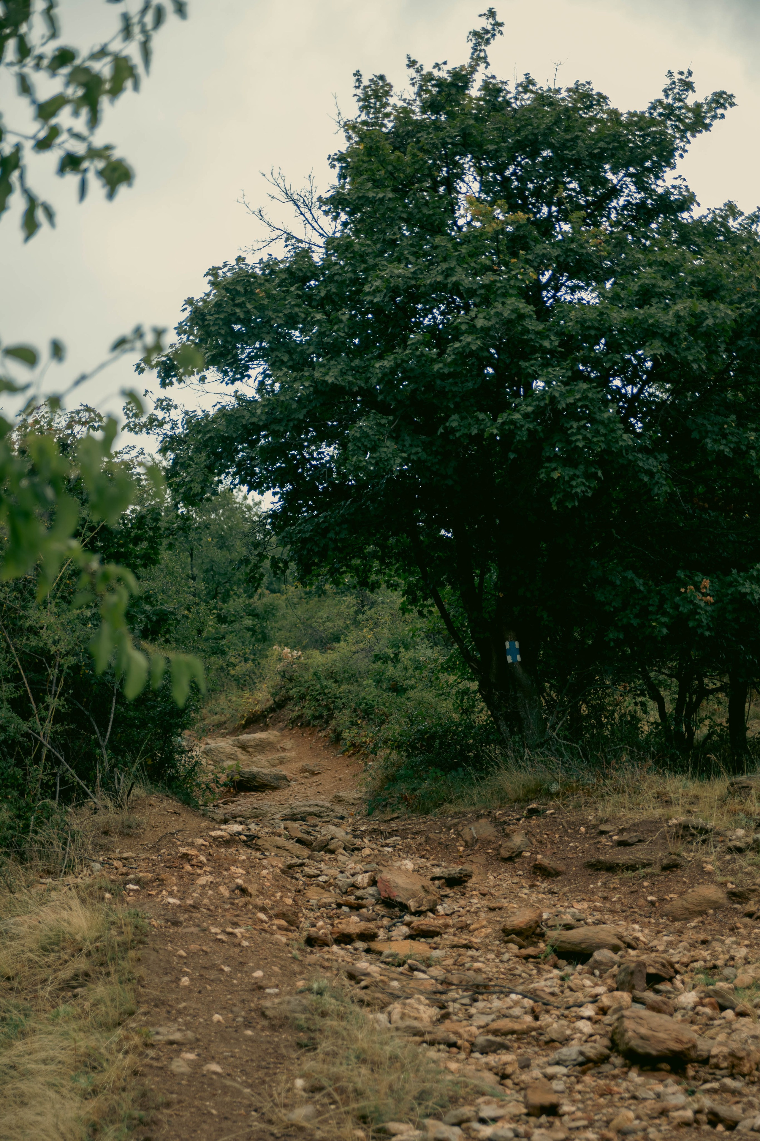 O drumeție simplă la Șiria