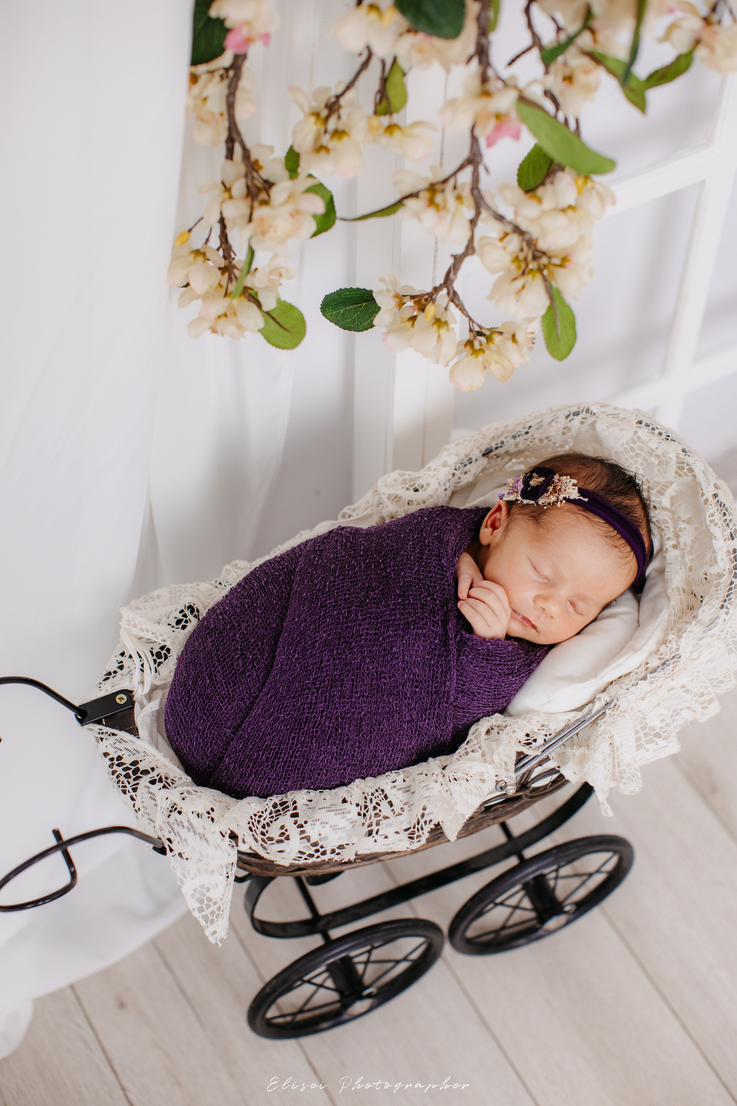 Fotograf Suceava studio foto 