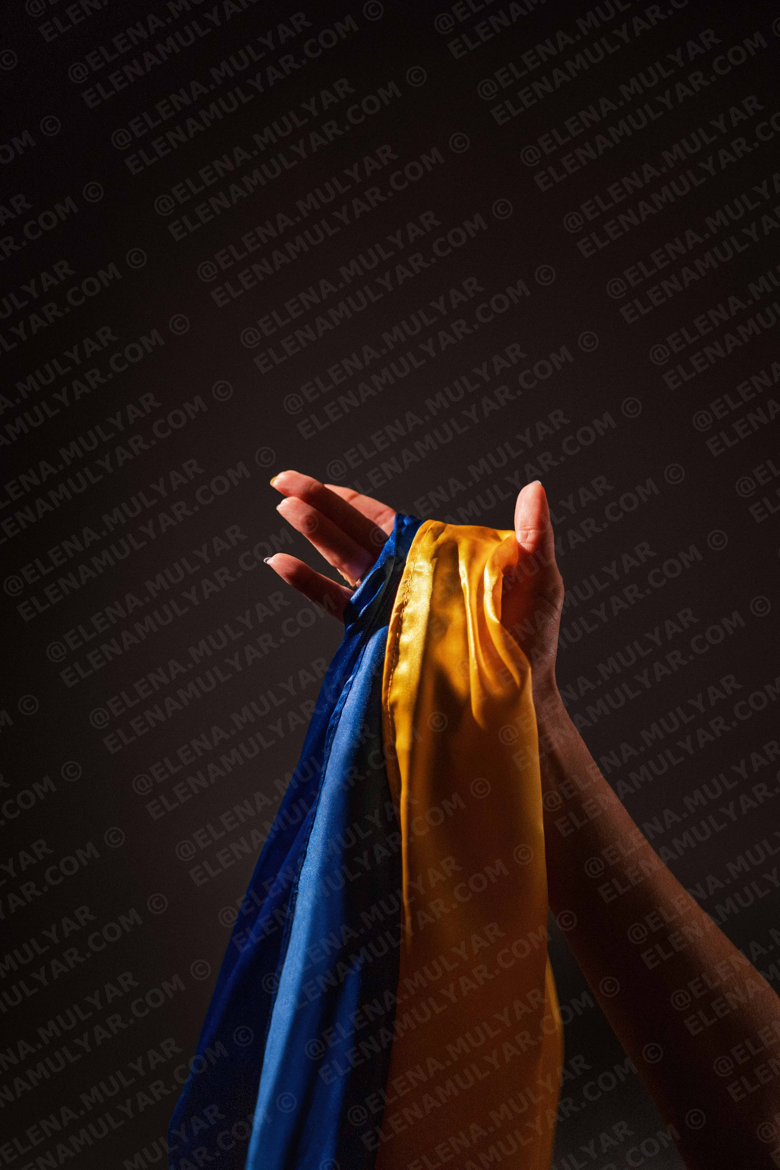 GALERIA BENEFICA 💛💙. Fotógrafo de bodas y familias en España, Málaga, Marbella