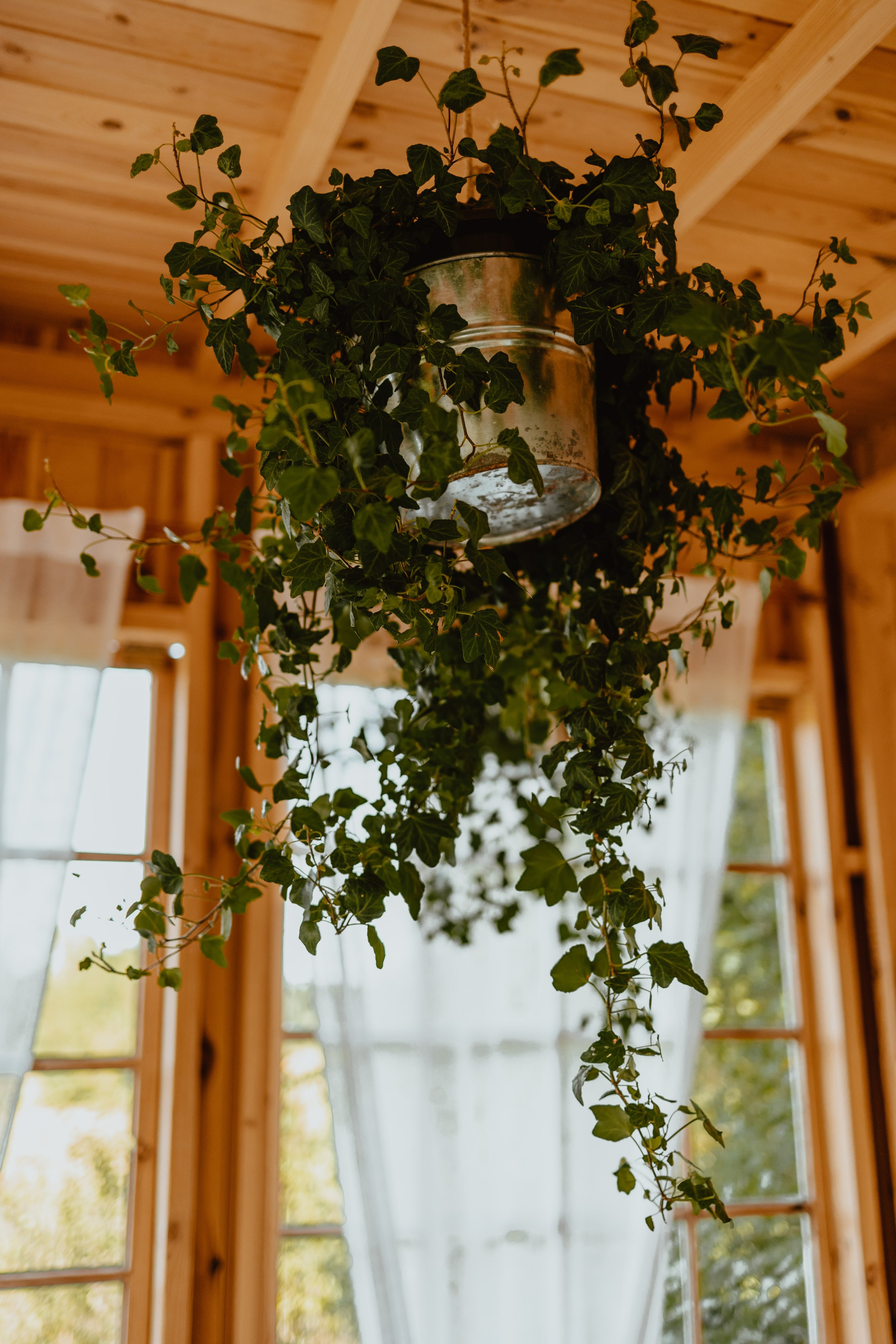 Dorota i Maciej - Cicha23 🌿. Fotograf Siedlce