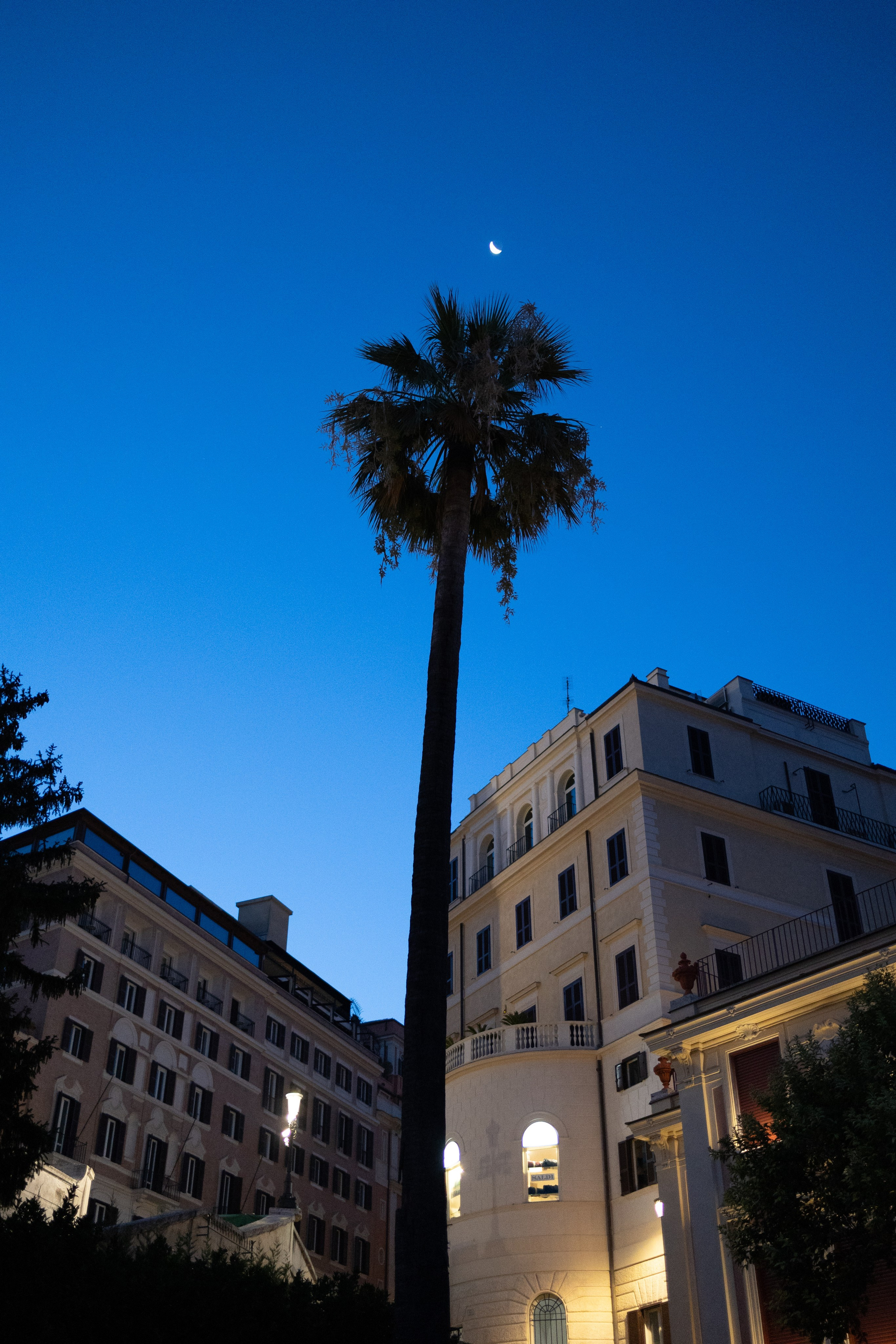 Rzym – pełen historii, ciepła i włoskiego temperamentu – stał się tłem dla wyjątkowej historii Klaudii i Michała 🤎. Fotograf Siedlce