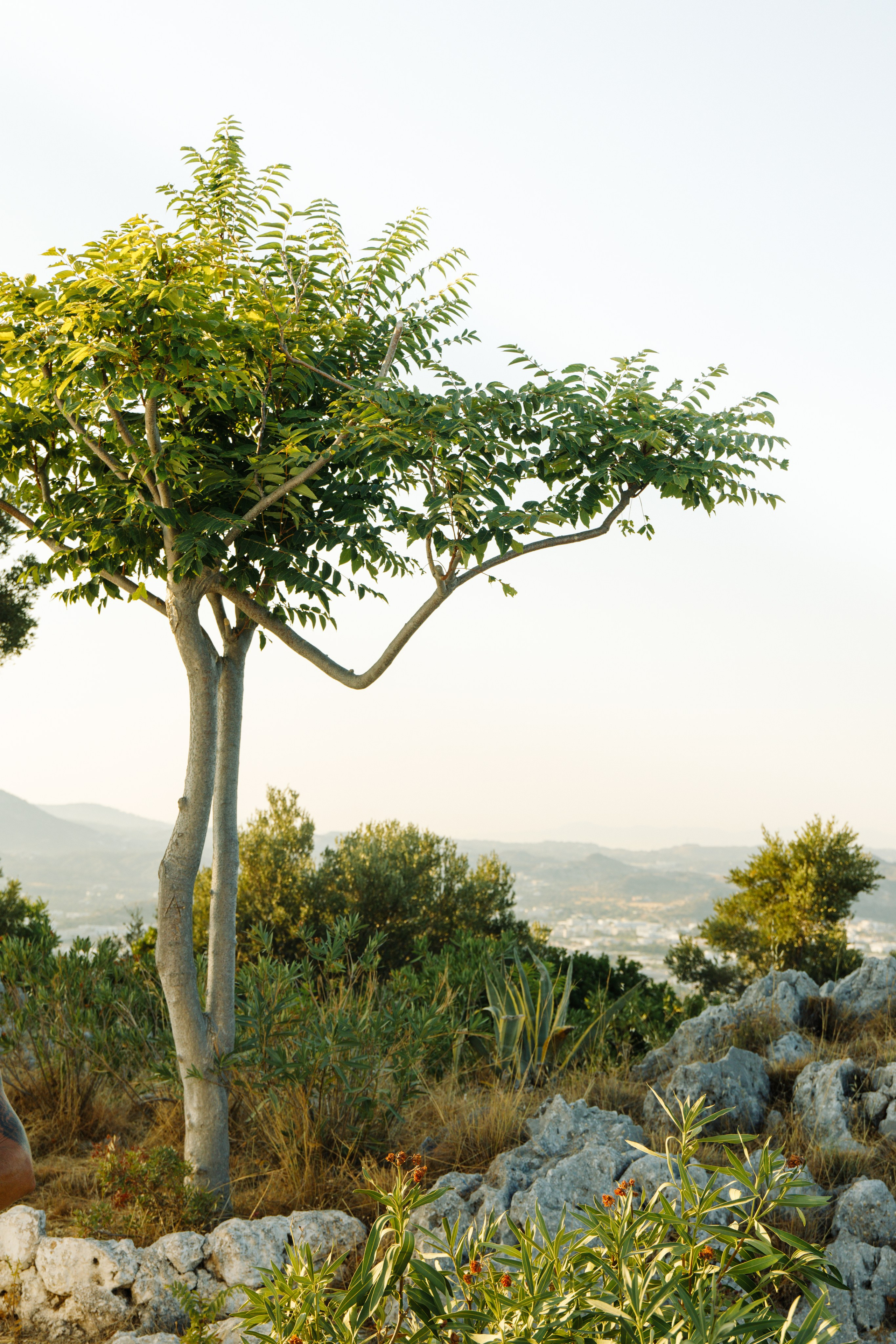 Die beste Jahreszeit zum Heiraten auf Rhodos: Ein Monatsführer. Portrait- und Hochzeitsfotografin Irene Art Photo mit Sitz auf der griechischen Insel Rhodos