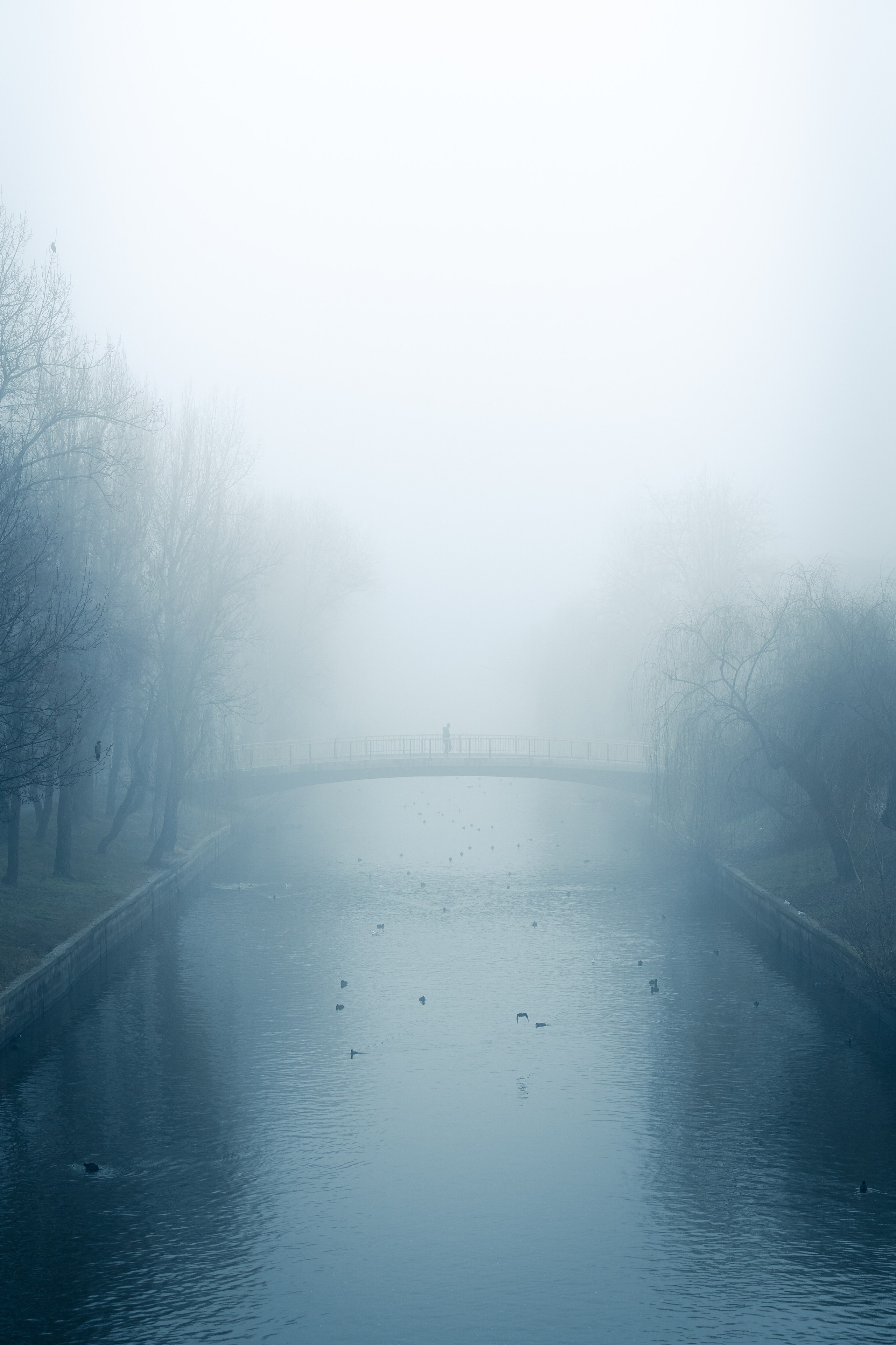 Blog despre fotografie - O dimineata cetoasa