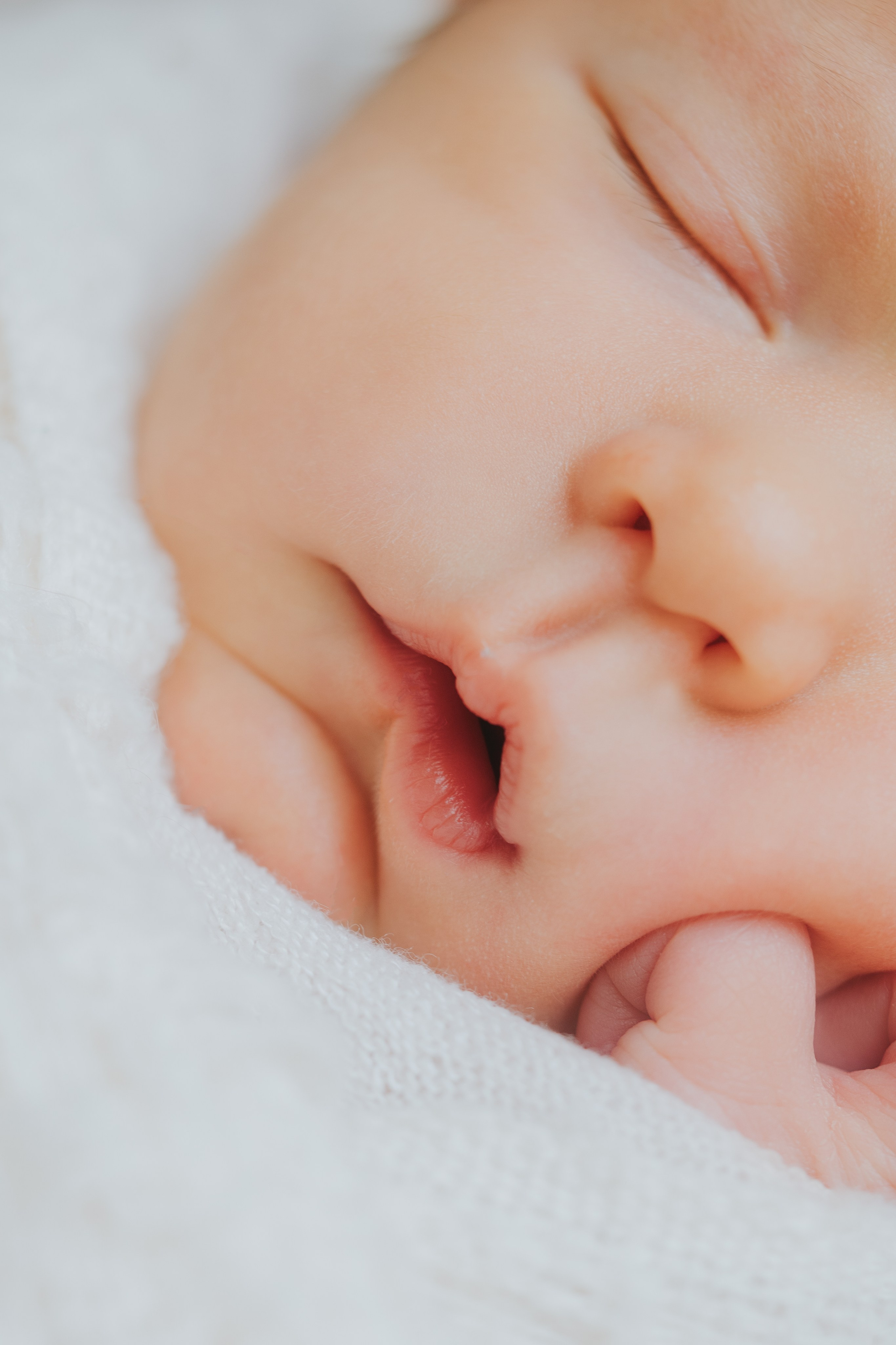 Your Montreal Newborn Session in studio — what to expect, what to bring and how to plan. Mimosa Studios — Maternity & Family Photographer in Montreal