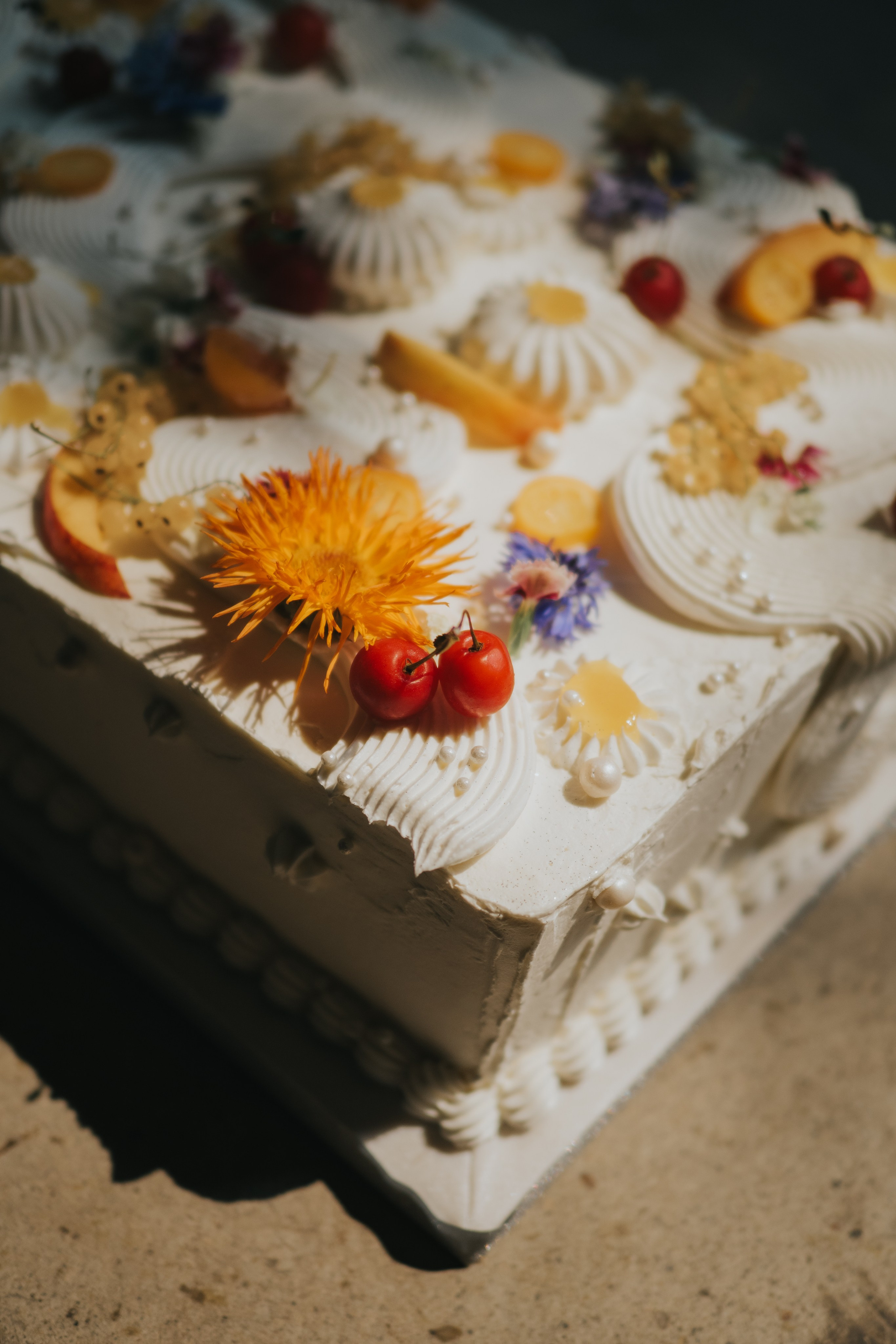 Commercial. Mimosa Studios — Motherhood, Portrait & Family Photographer in Montreal