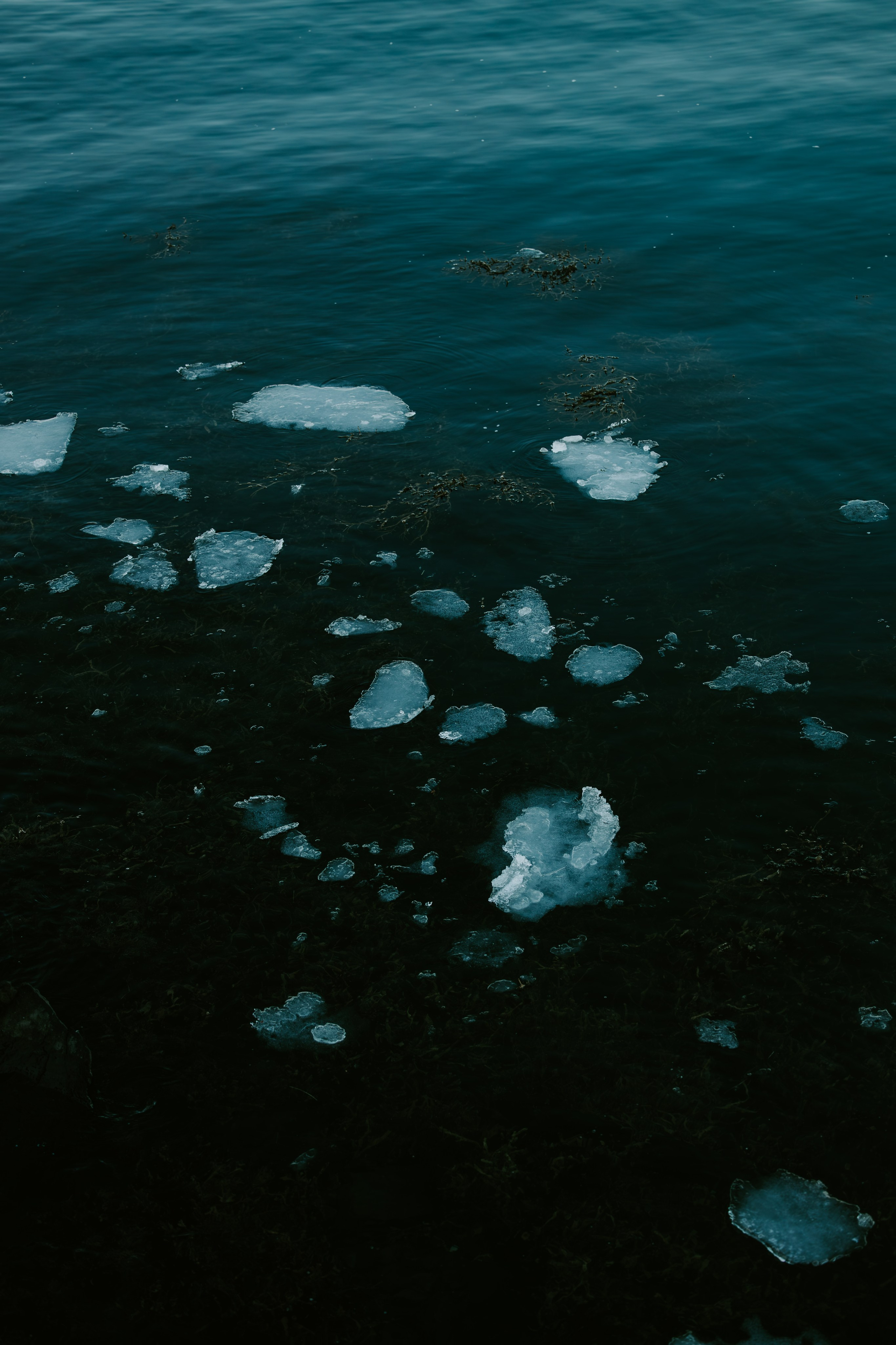 Forecast: Unpredictable. Heart In Lens Photography from Reykjavík, Iceland