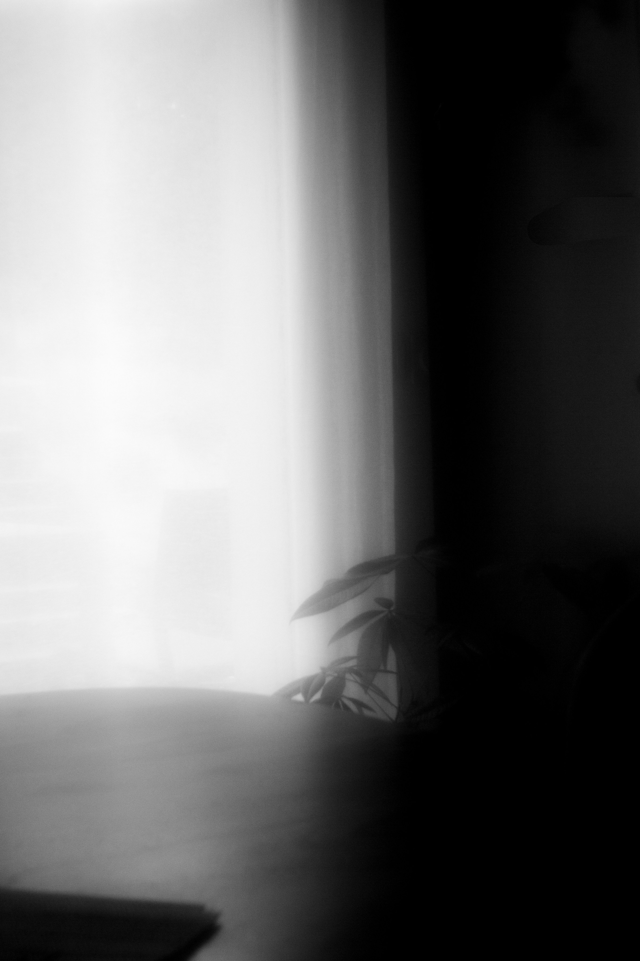 Inner house. Anastasia Shapoval violoniste et photographe. Annecy — Geneve