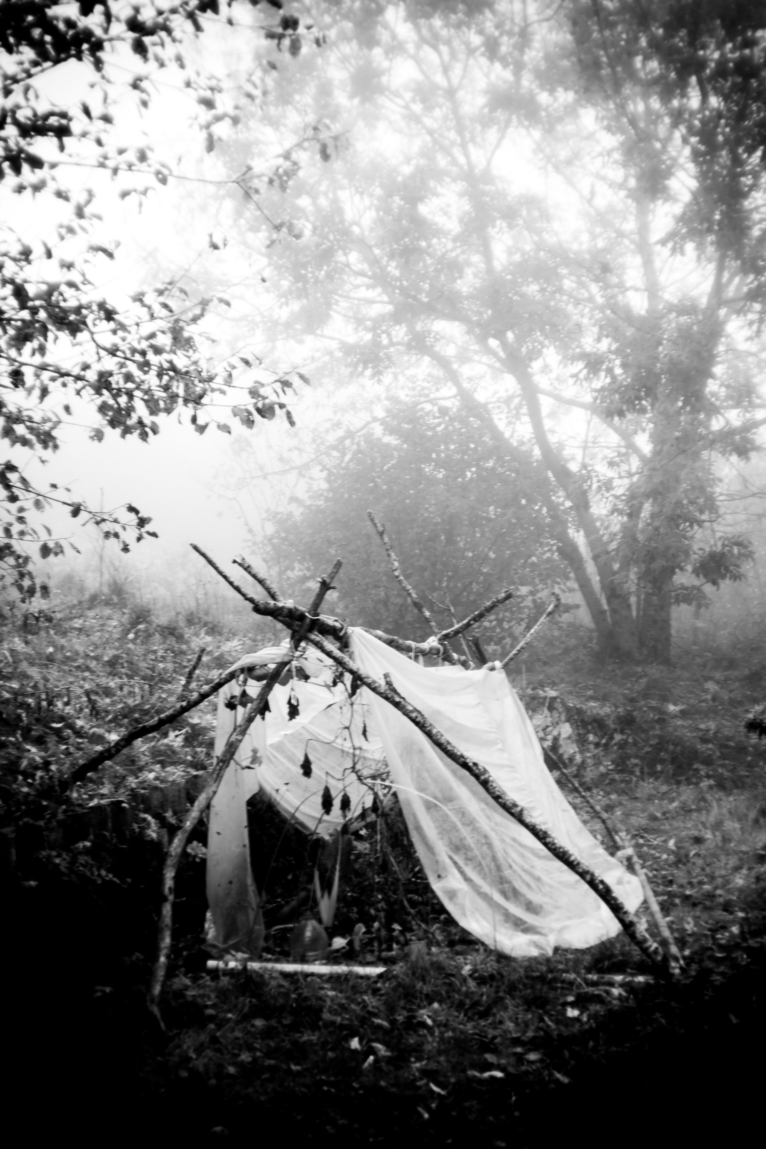 Inner house. Anastasia Shapoval violoniste et photographe. Annecy — Geneve