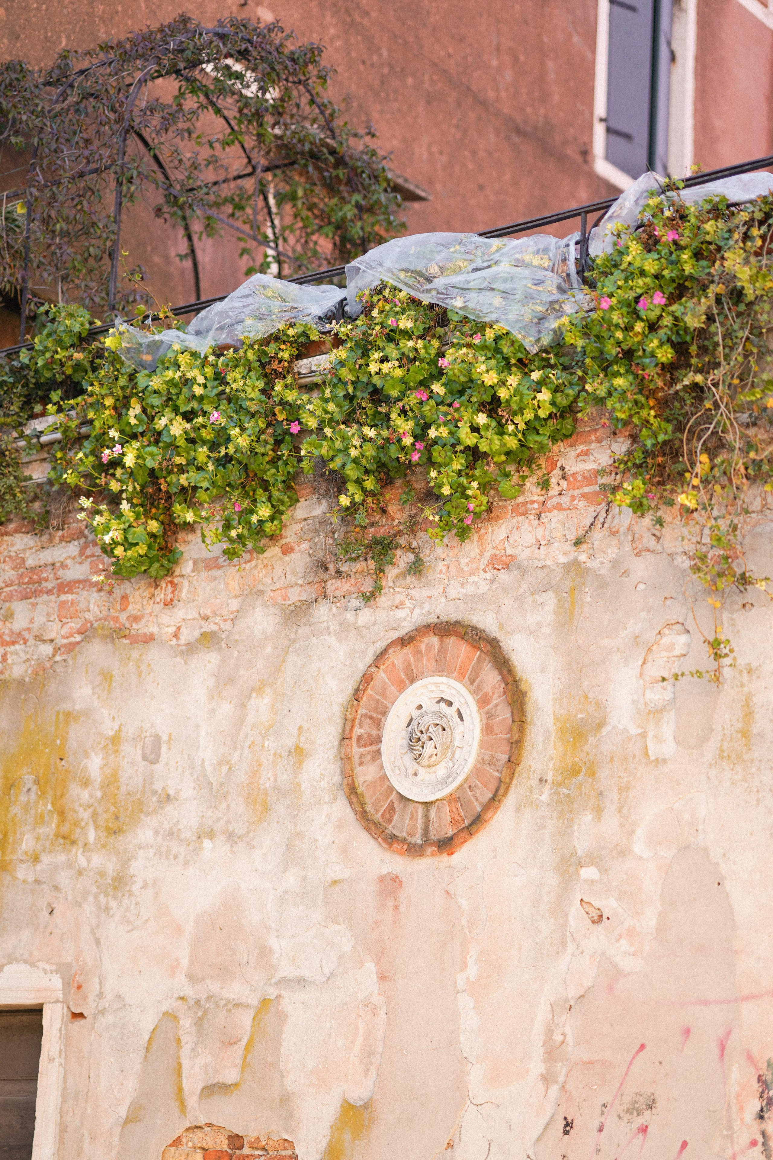 February Venice 2022