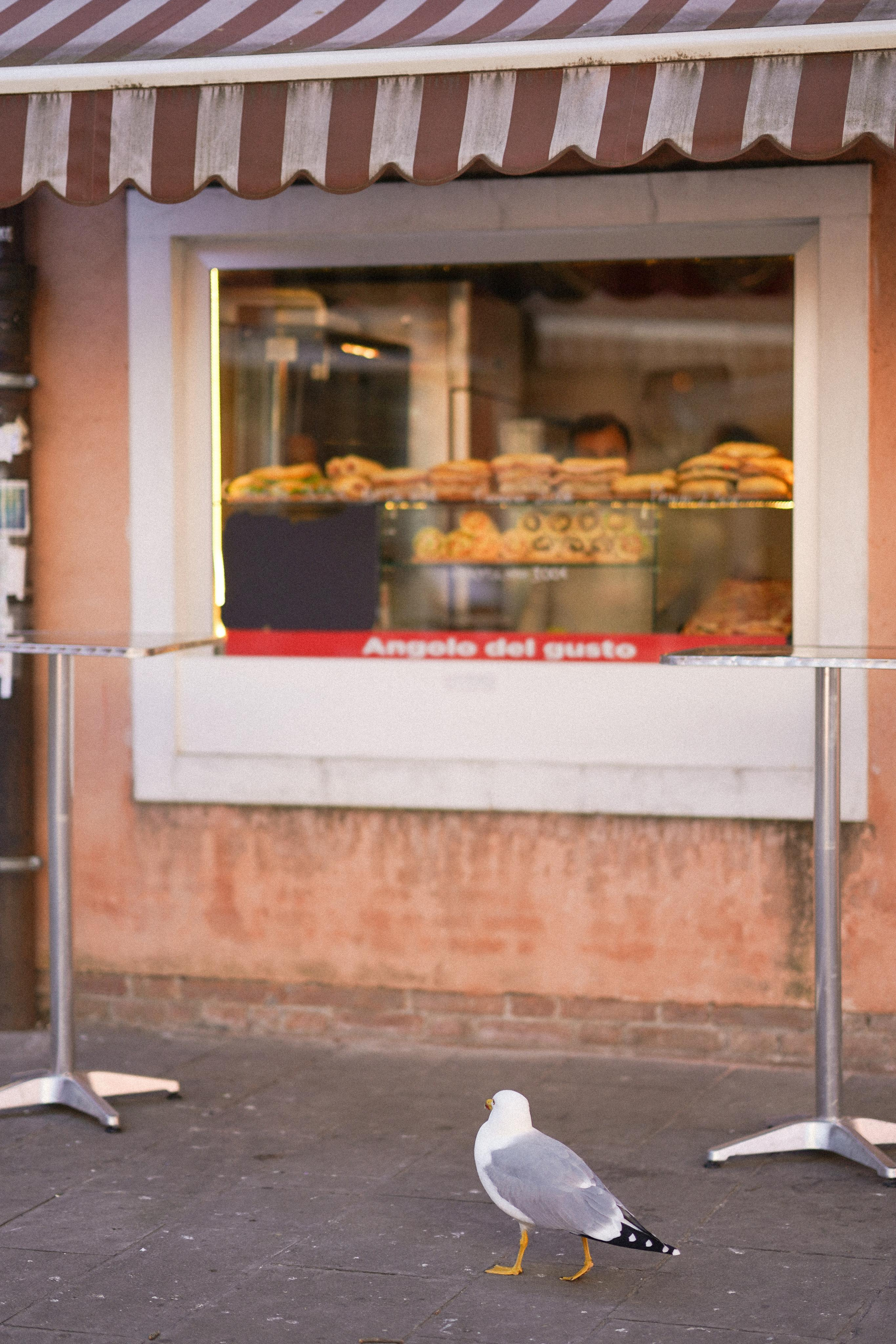 February Venice 2022