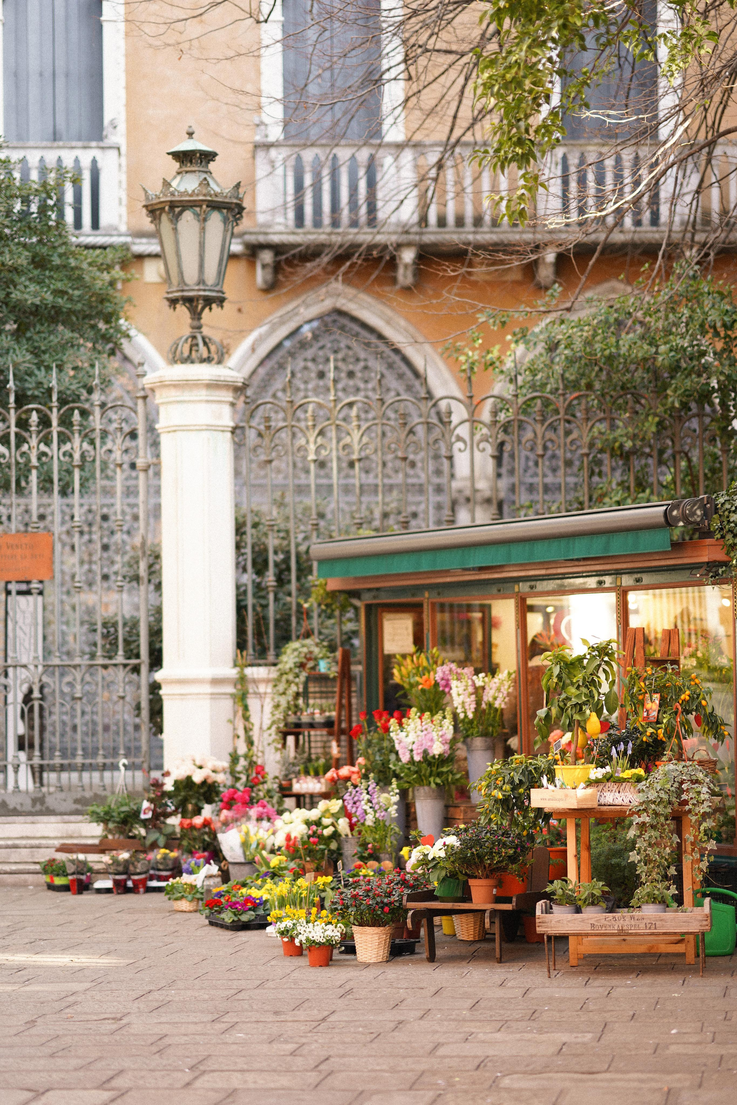 February Venice 2022