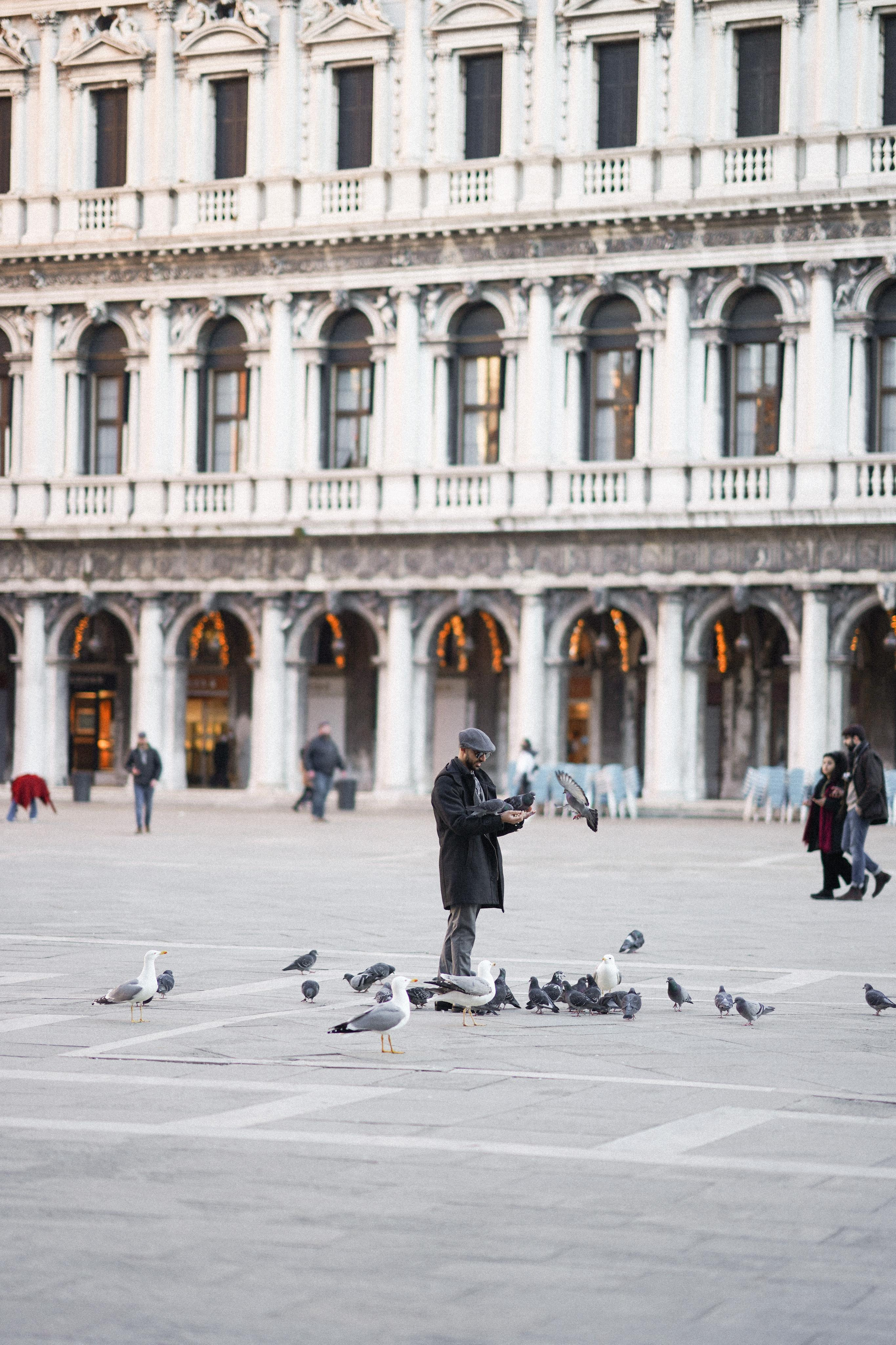 February Venice 2022