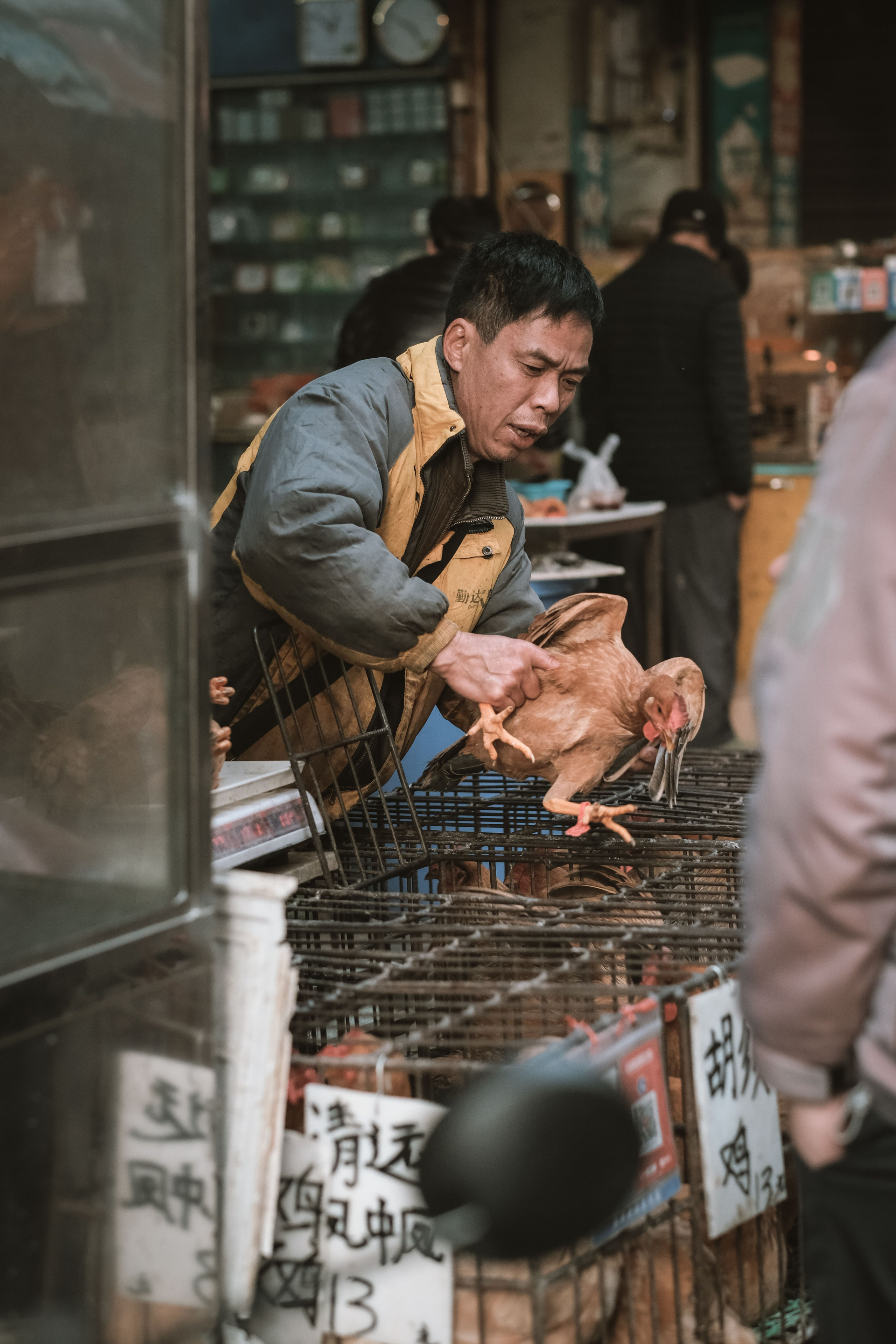 Exploring Farmers Markets in China: A Photo Review by Yukophotography